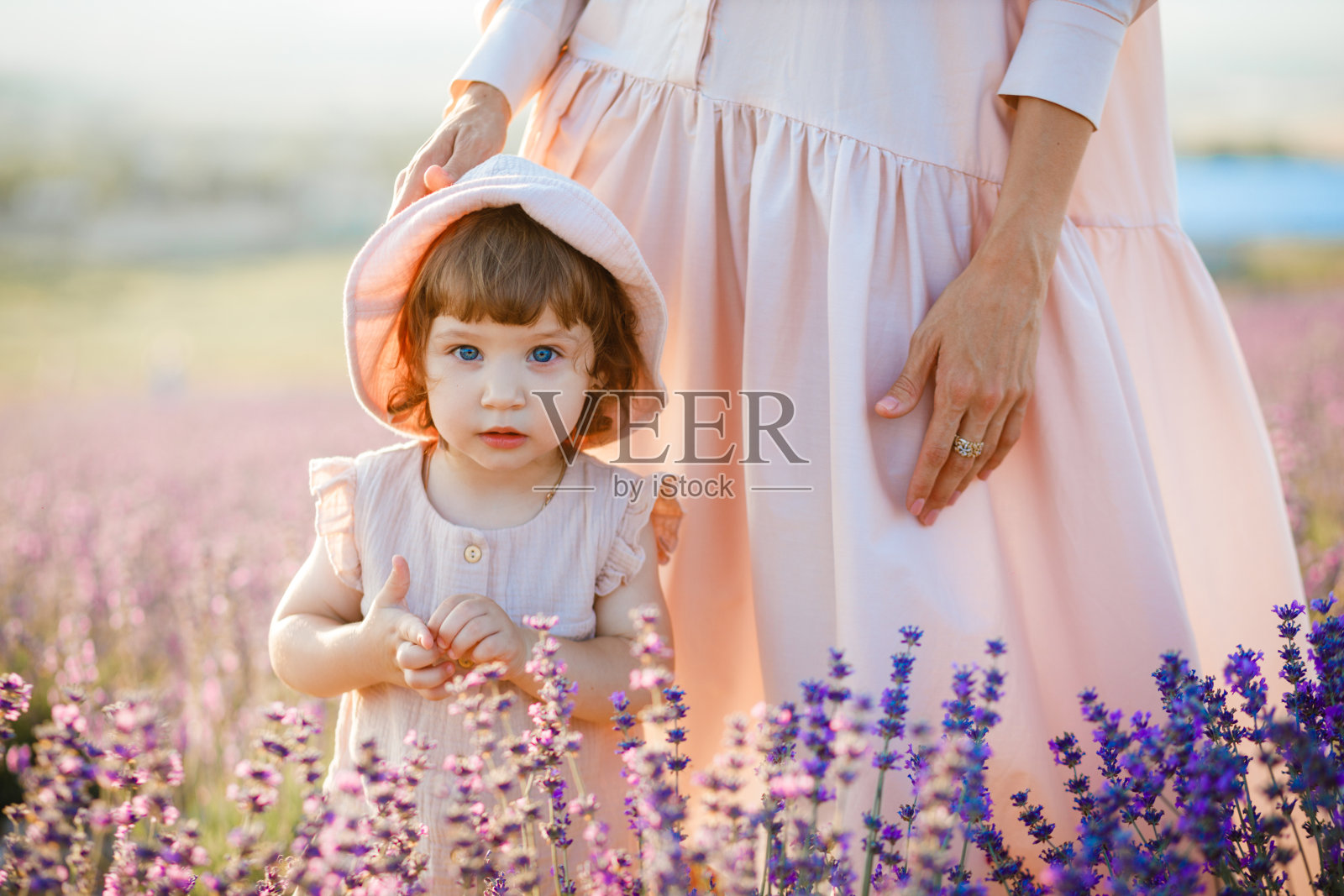 日落时分，薰衣草田间，母亲拥抱女儿。照片摄影图片