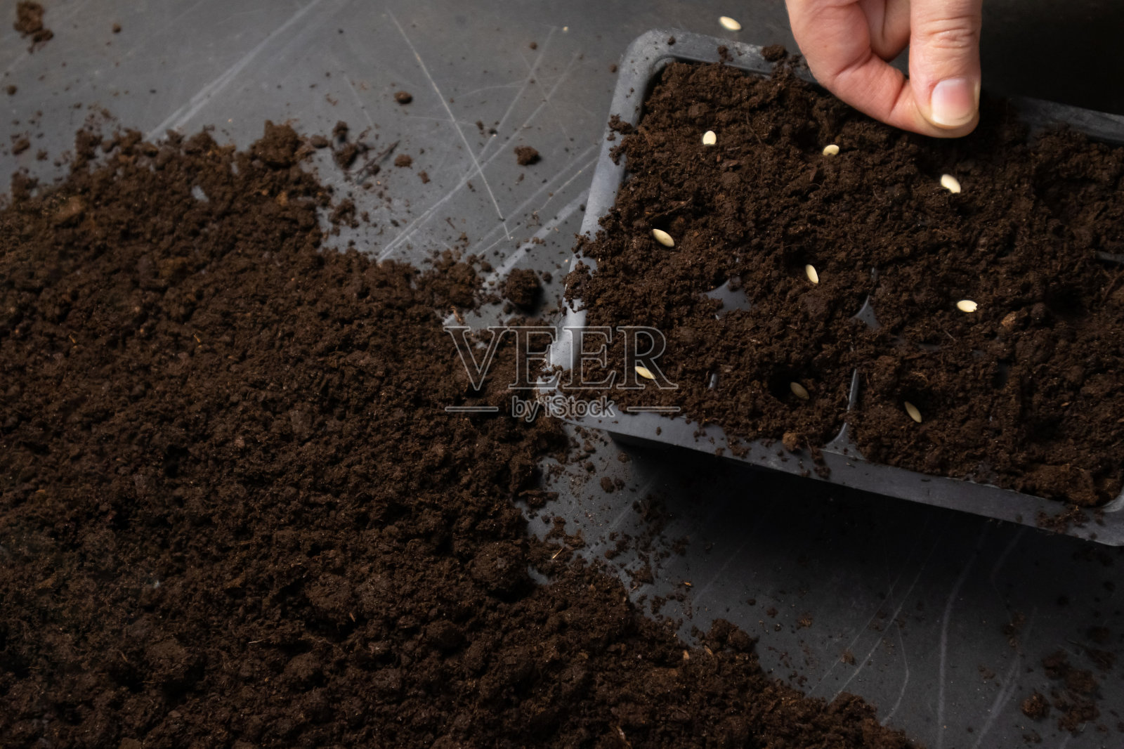 农民在近距离的土壤上用手锯种子。农民手工播种，有选择的重点。照片摄影图片
