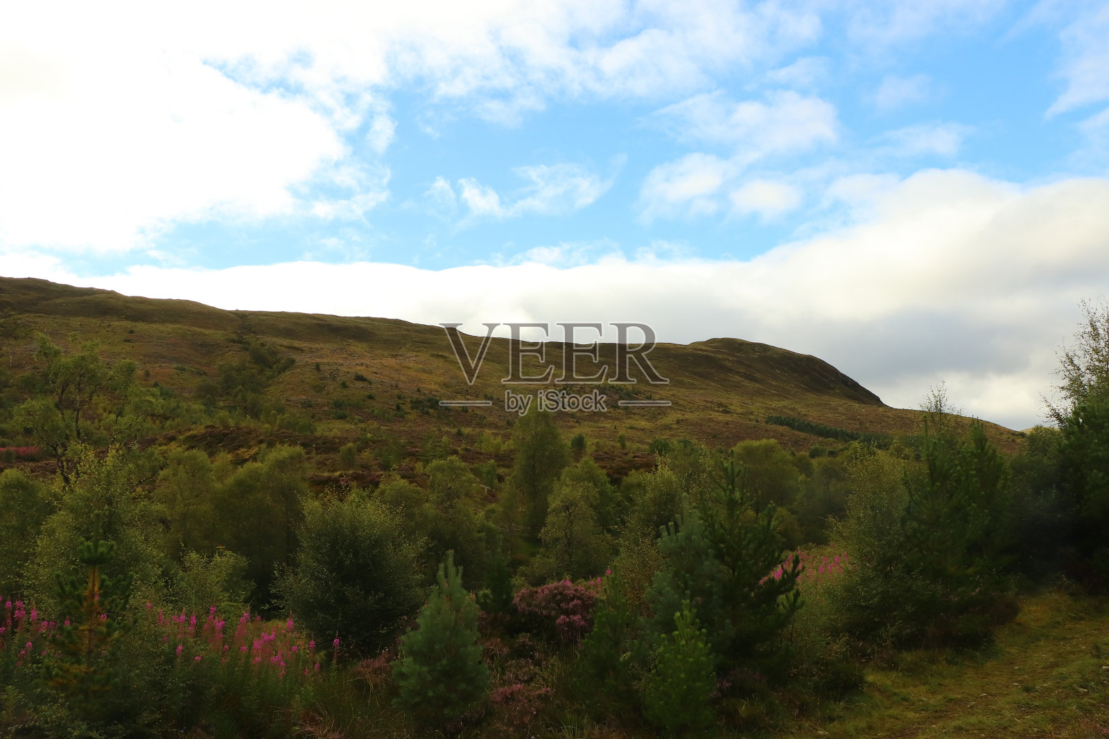 苏格兰高地的丘陵和峡谷照片摄影图片