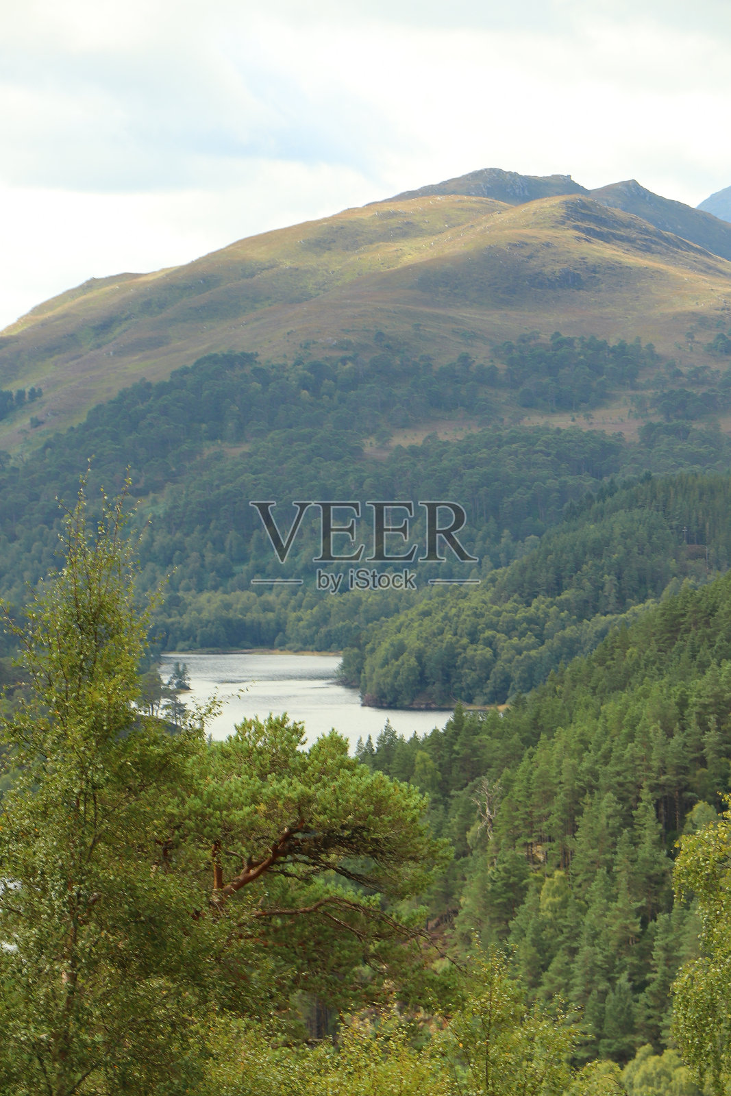 苏格兰高地的丘陵和峡谷照片摄影图片