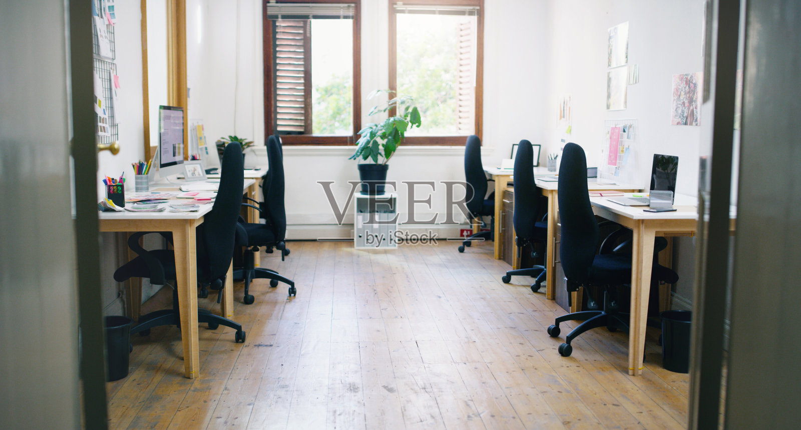 它可能很小，但会变得超级繁忙照片摄影图片