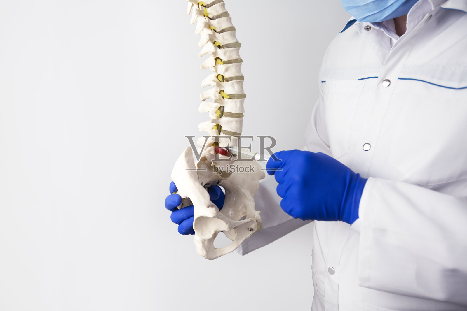 椎间盘突出的诊断和显示。石膏脊柱模型照片摄影图片