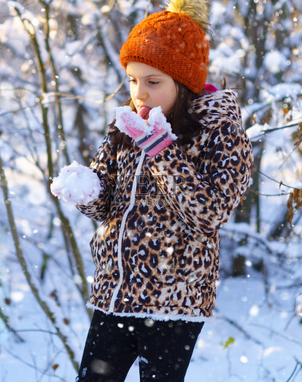 小女孩吃雪，在冬天的森林里玩耍，明亮的阳光和雪地上的阴影，美丽的大自然照片摄影图片