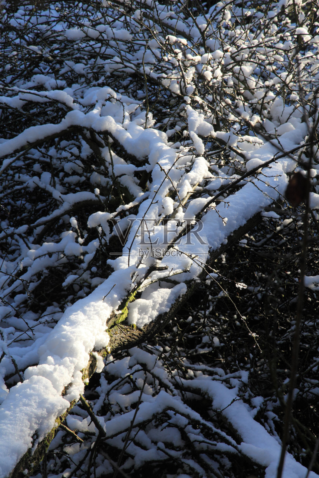 抽象的雪照片摄影图片