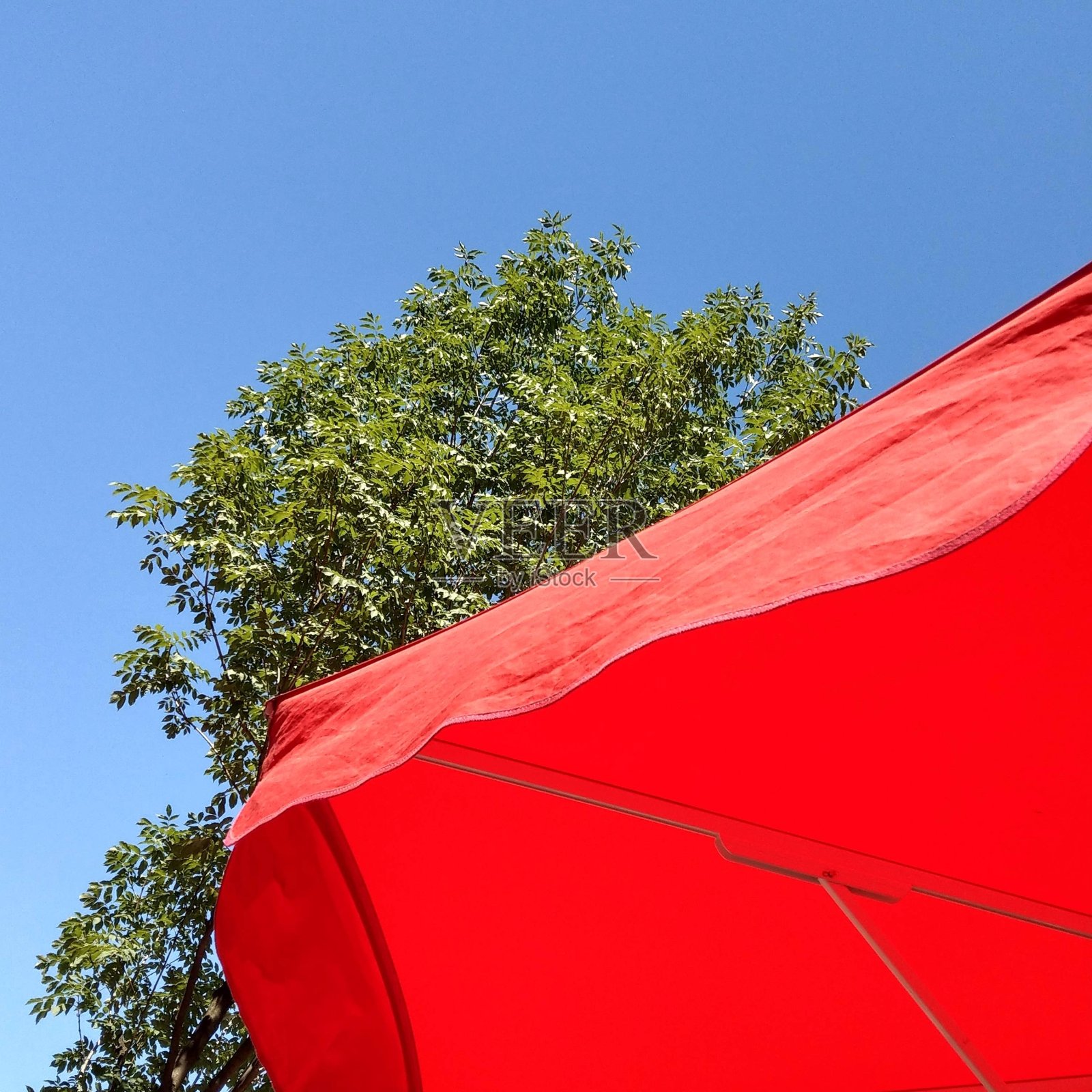 红色的阳伞照片摄影图片