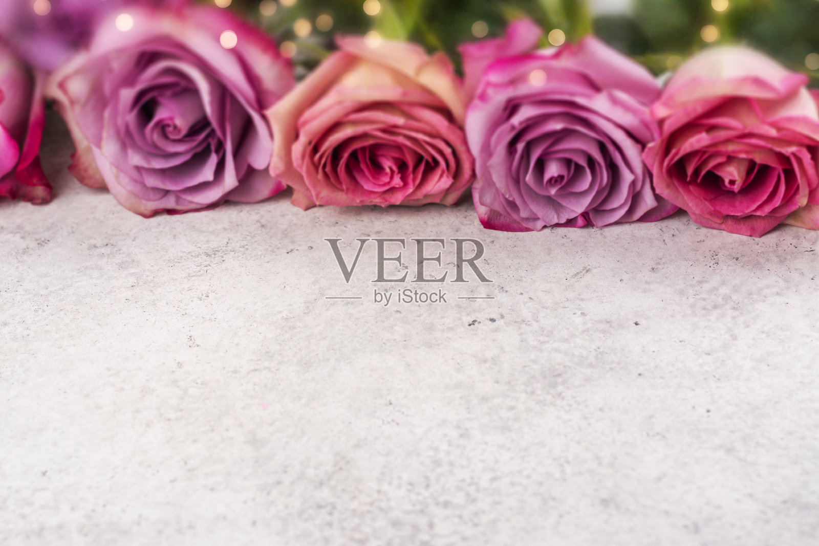 粉红玫瑰背景。照片摄影图片