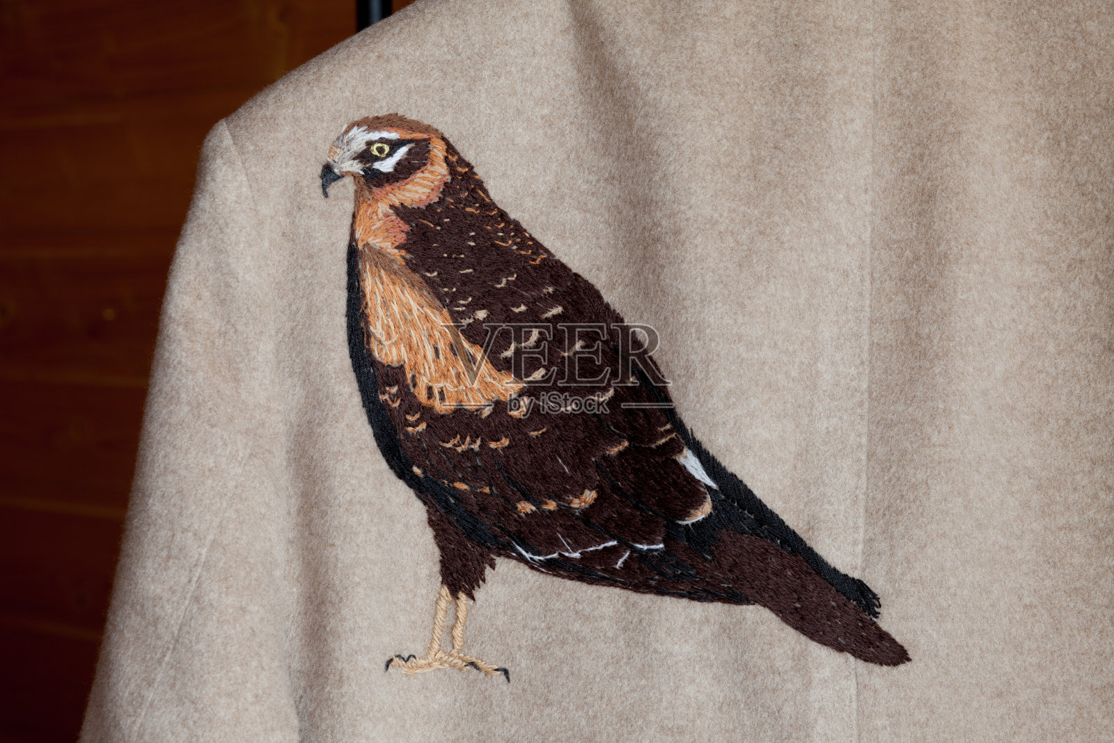 时装刺绣的鸟。静物特写照片摄影图片