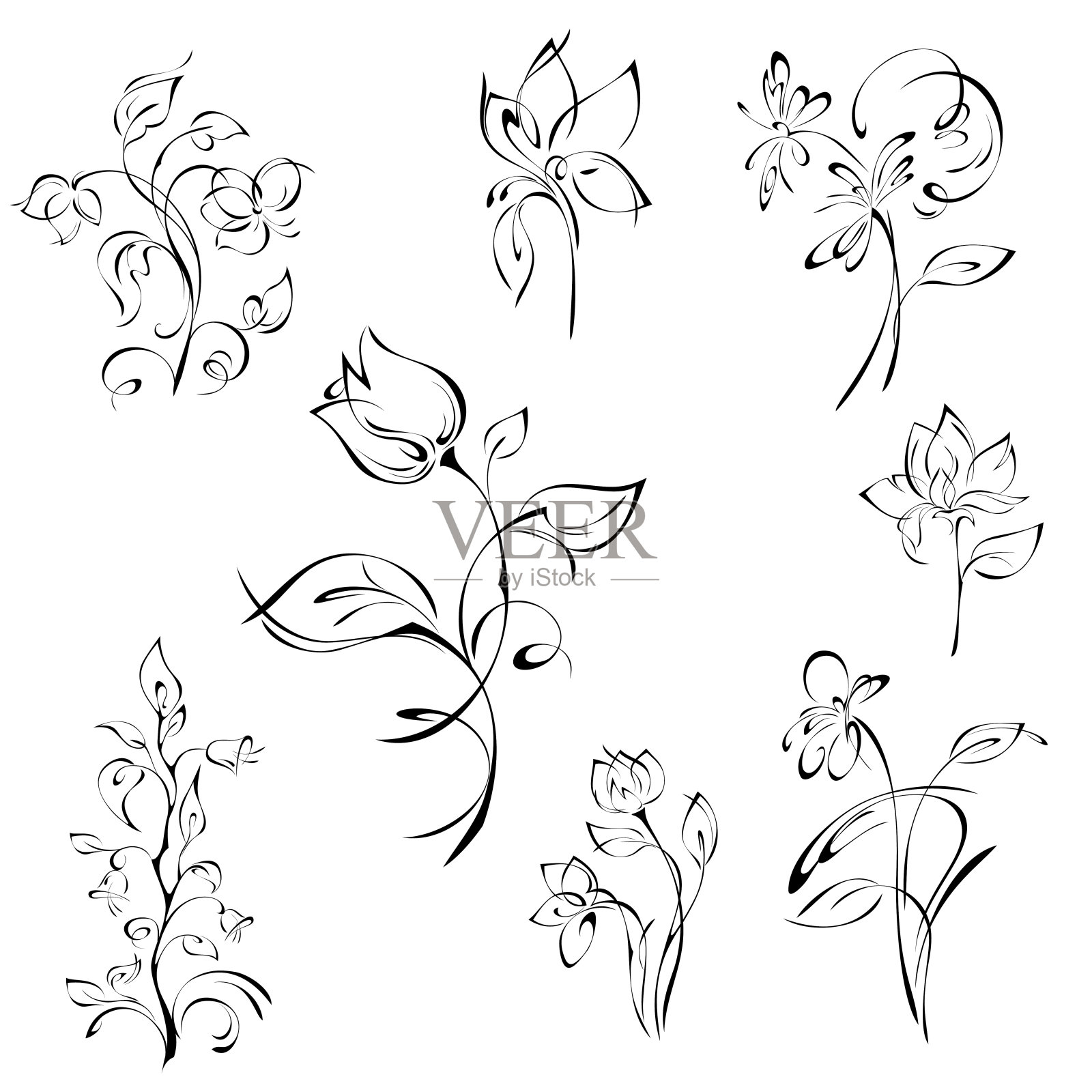 花卉 67.套装插画图片素材