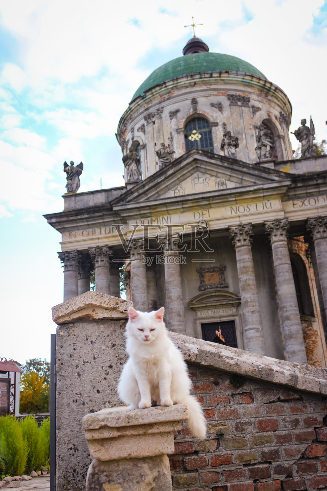 一只白猫坐在一堵石墙上，背景是一座古老的天主教教堂照片摄影图片