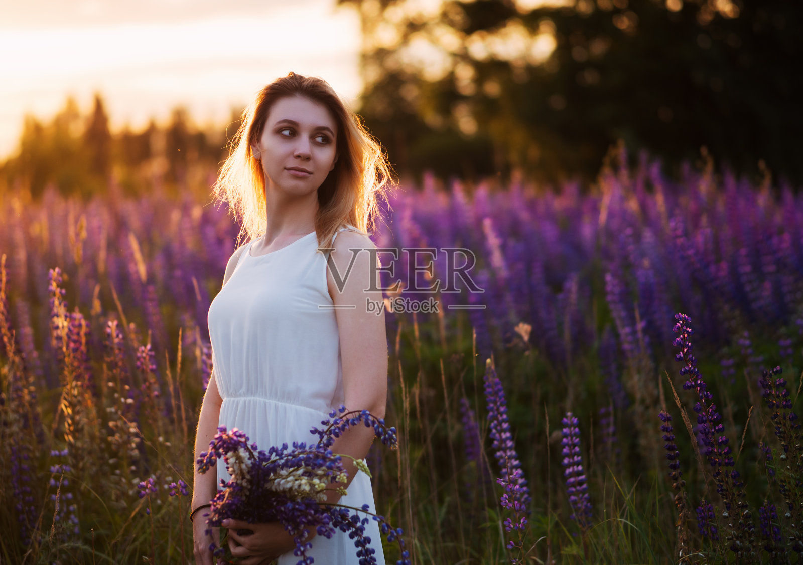 美丽的年轻女子穿着白光的衣服在夕阳下的花田。柳条篮子里的羽扇豆花。享受自然与自由照片摄影图片