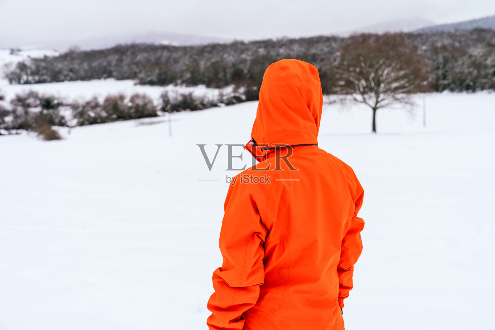 一个女人在一个美丽的风景在雪山上的后视图，穿着一件橙色夹克，使一个非常丰富多彩的图画照片摄影图片