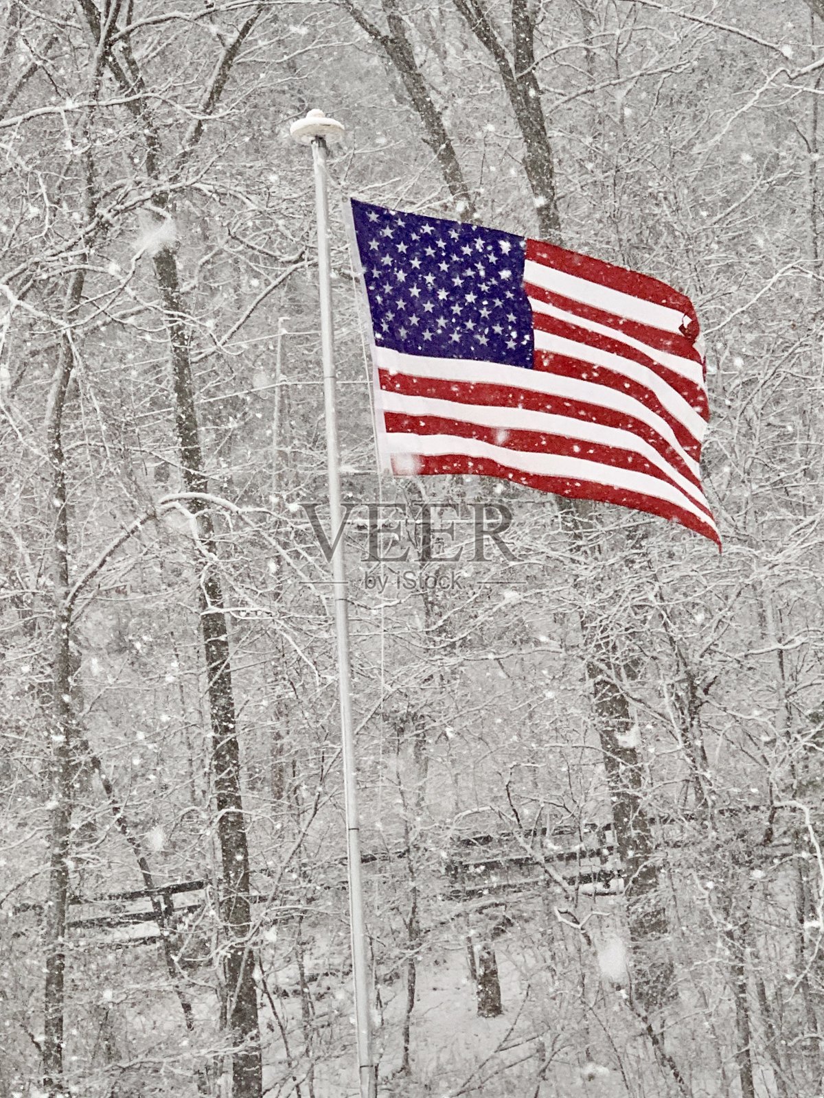 就职典礼上的骄傲飞行照片摄影图片