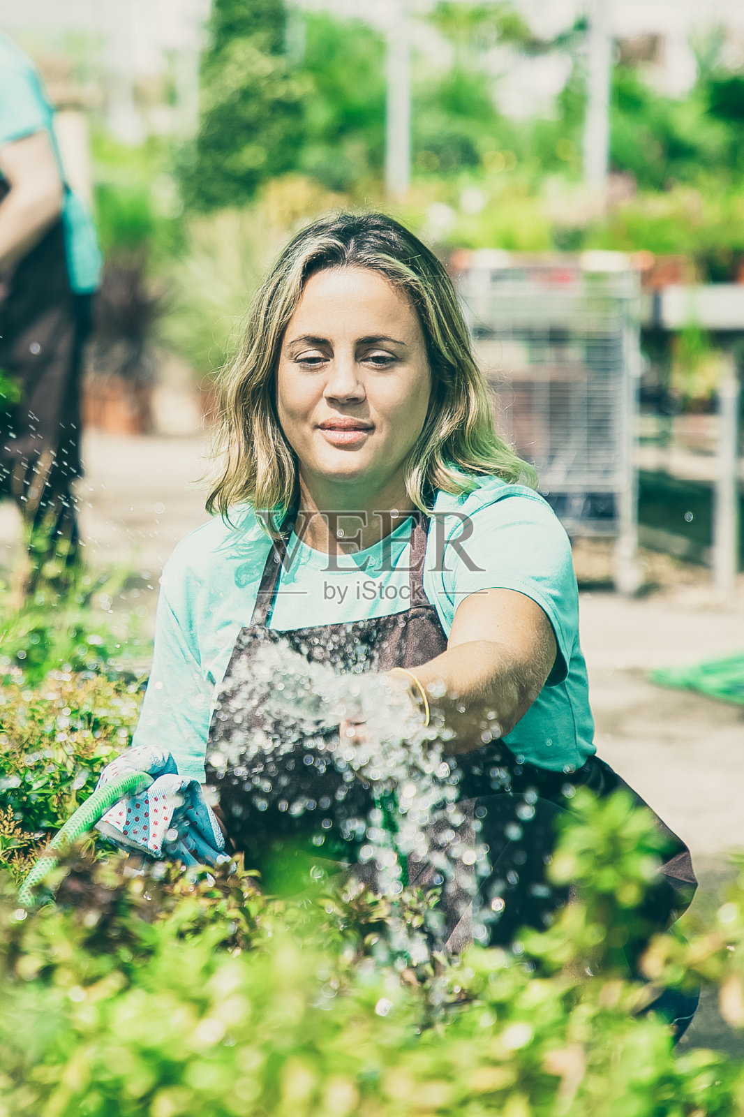 漂亮女人拿着水管，蹲着给植物浇水照片摄影图片