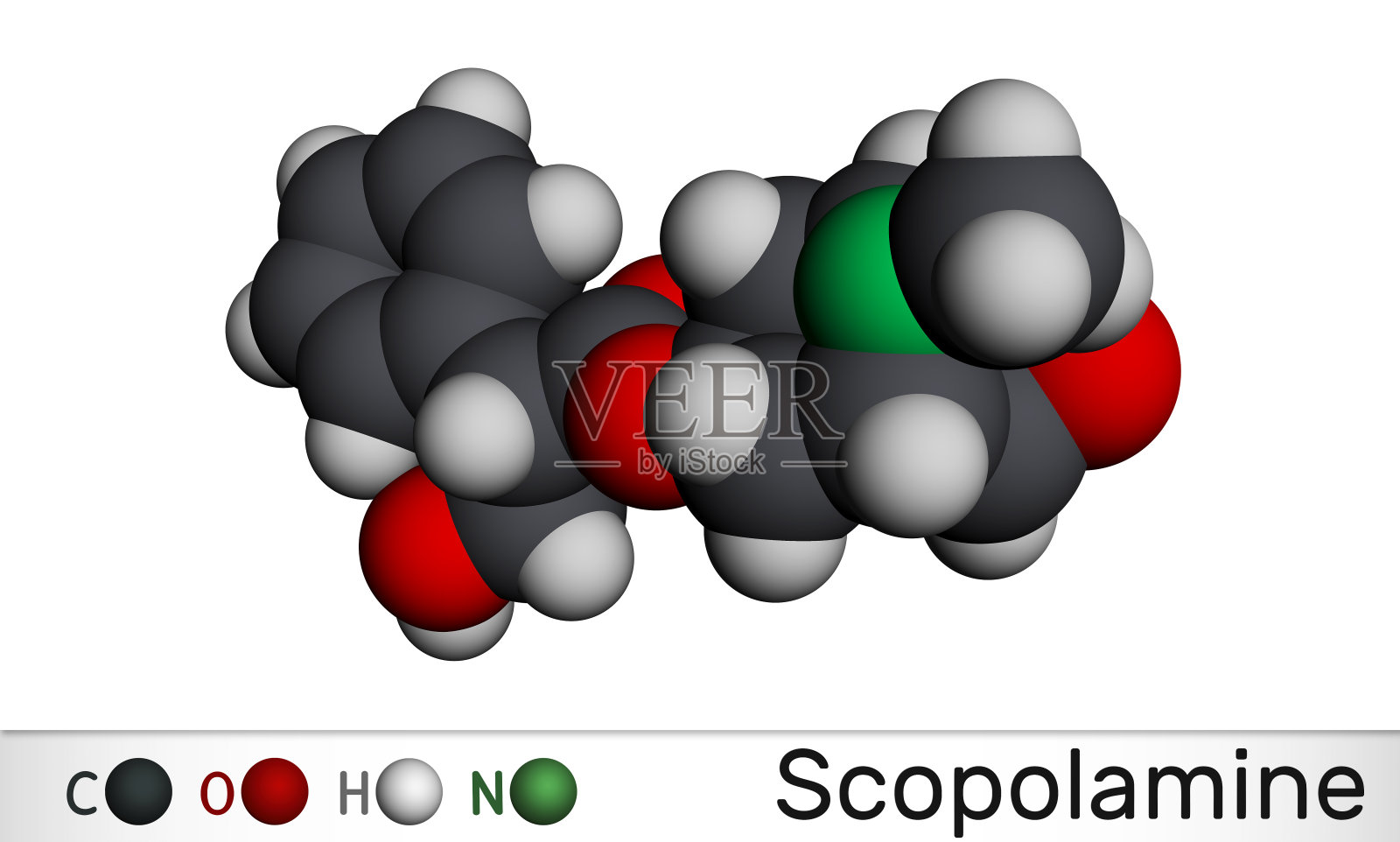 东莨菪碱、东莨菪碱。L-Scopolamine分子。它是一种天然植物生物碱，具有精神活性，抗胆碱能，抗毒的药物。分子模型。三维渲染照片摄影图片