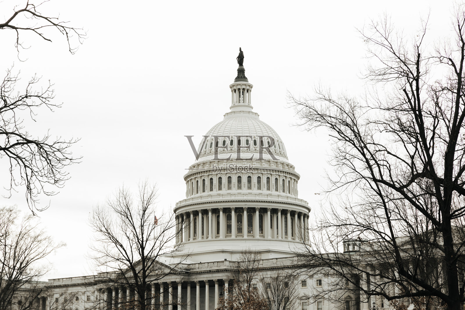 华盛顿特区的美国国会大厦照片摄影图片