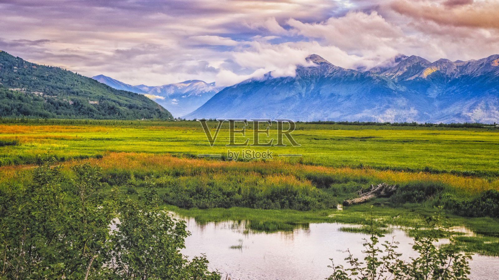 阿拉斯加/美国安克雷奇夏季结束- 2018年8月照片摄影图片