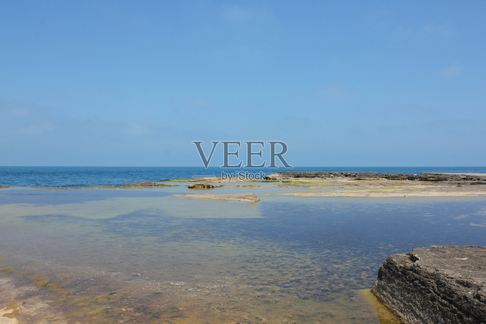 在Kefken粉红色岩石的马尔马拉浅海和绿藻照片摄影图片