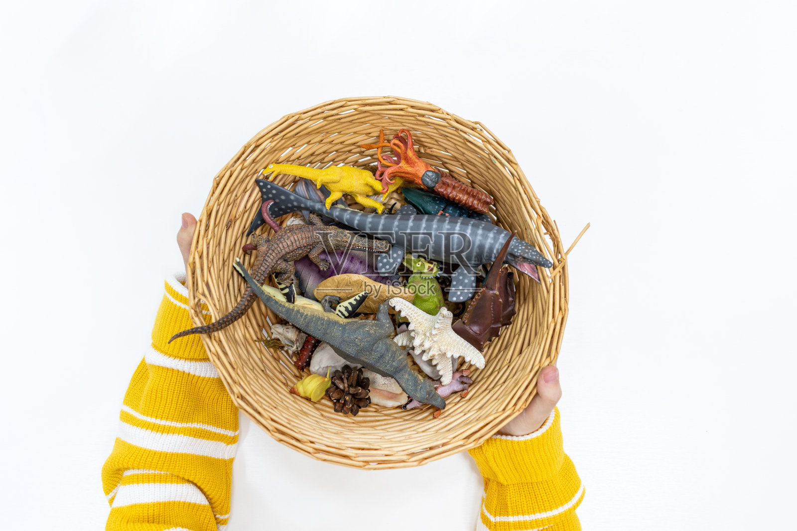 俯视图的一个女孩的手玩和分类史前动物的数字在蒙特梭利学校照片摄影图片