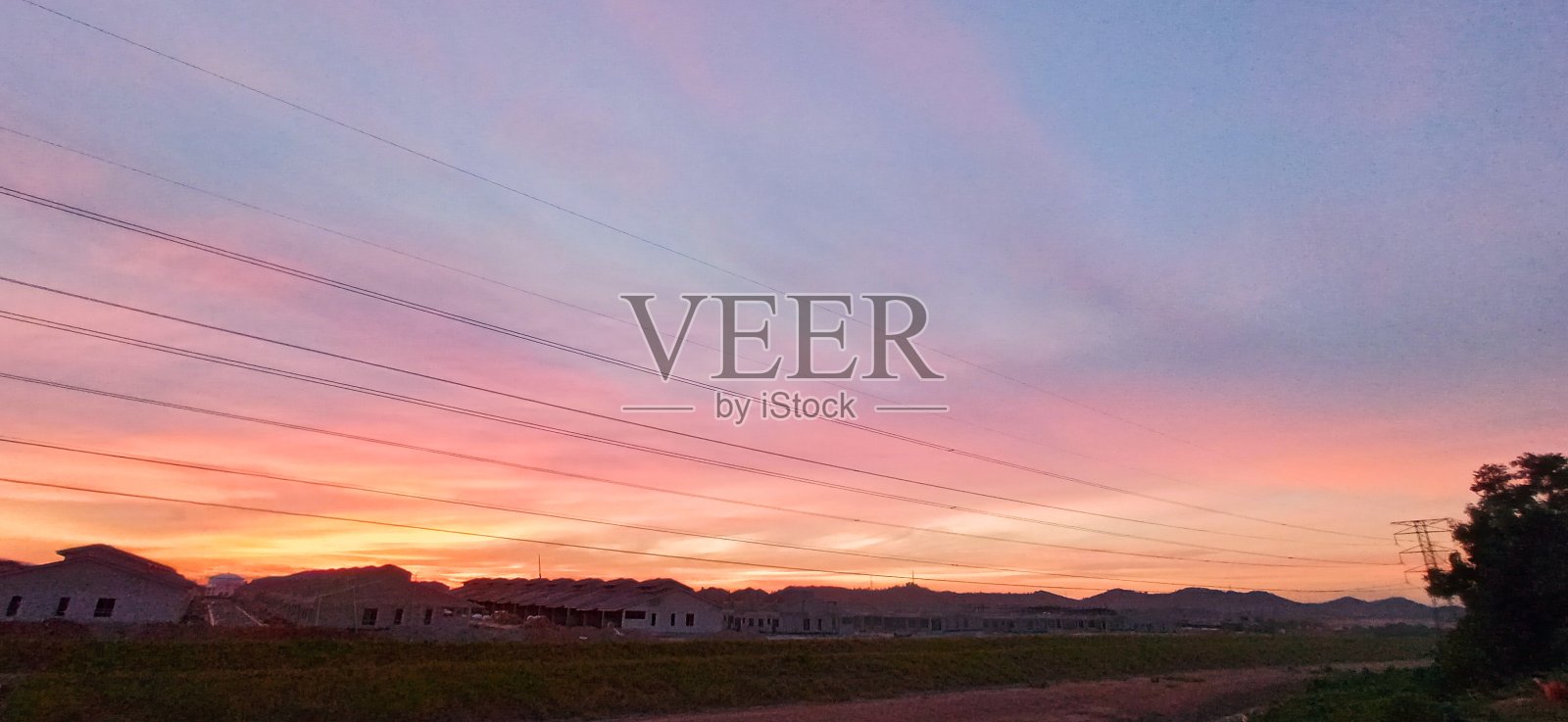 你所不知道的阳光的力量照片摄影图片