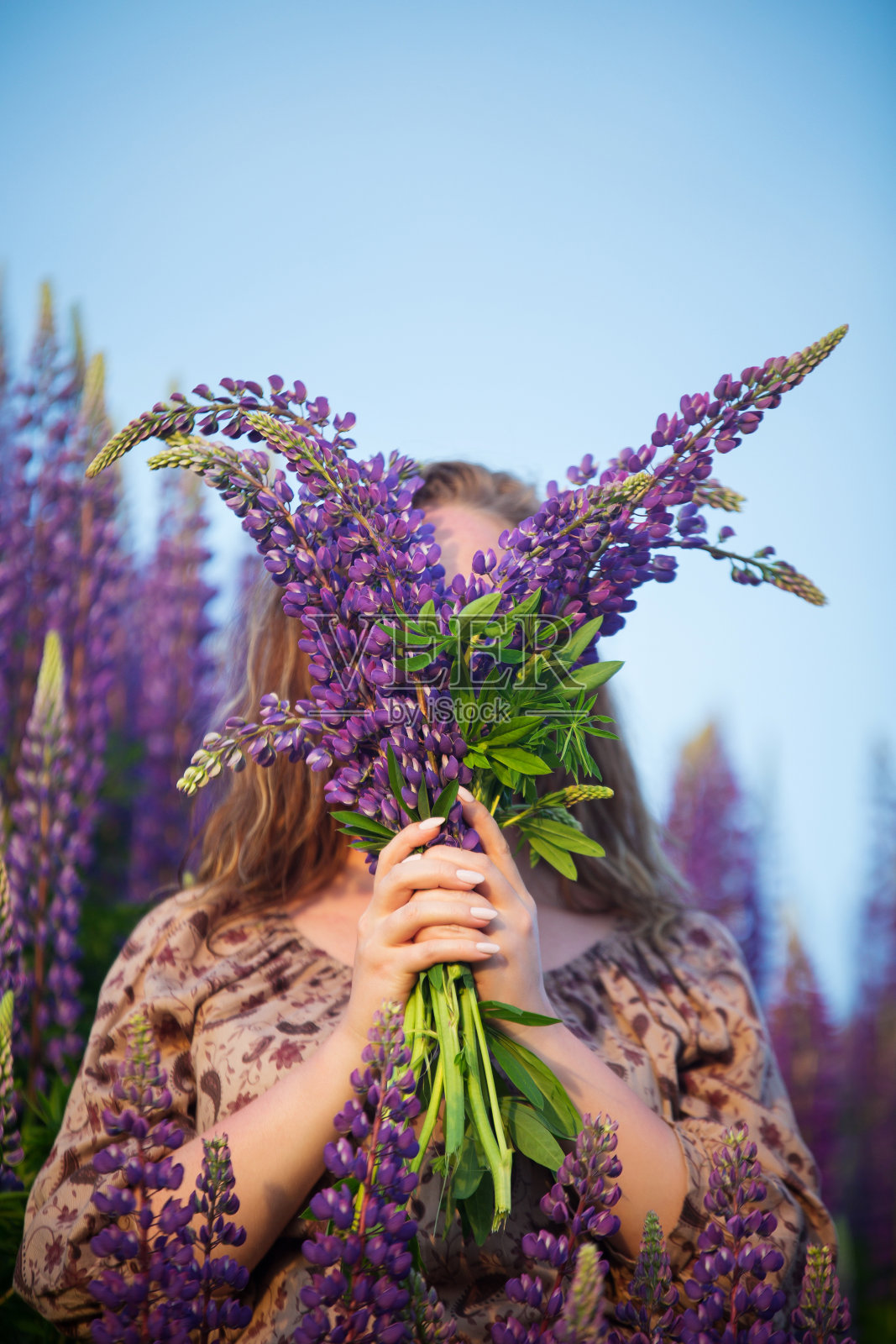 一个女孩在夏天的田野里，手里拿着一束花照片摄影图片