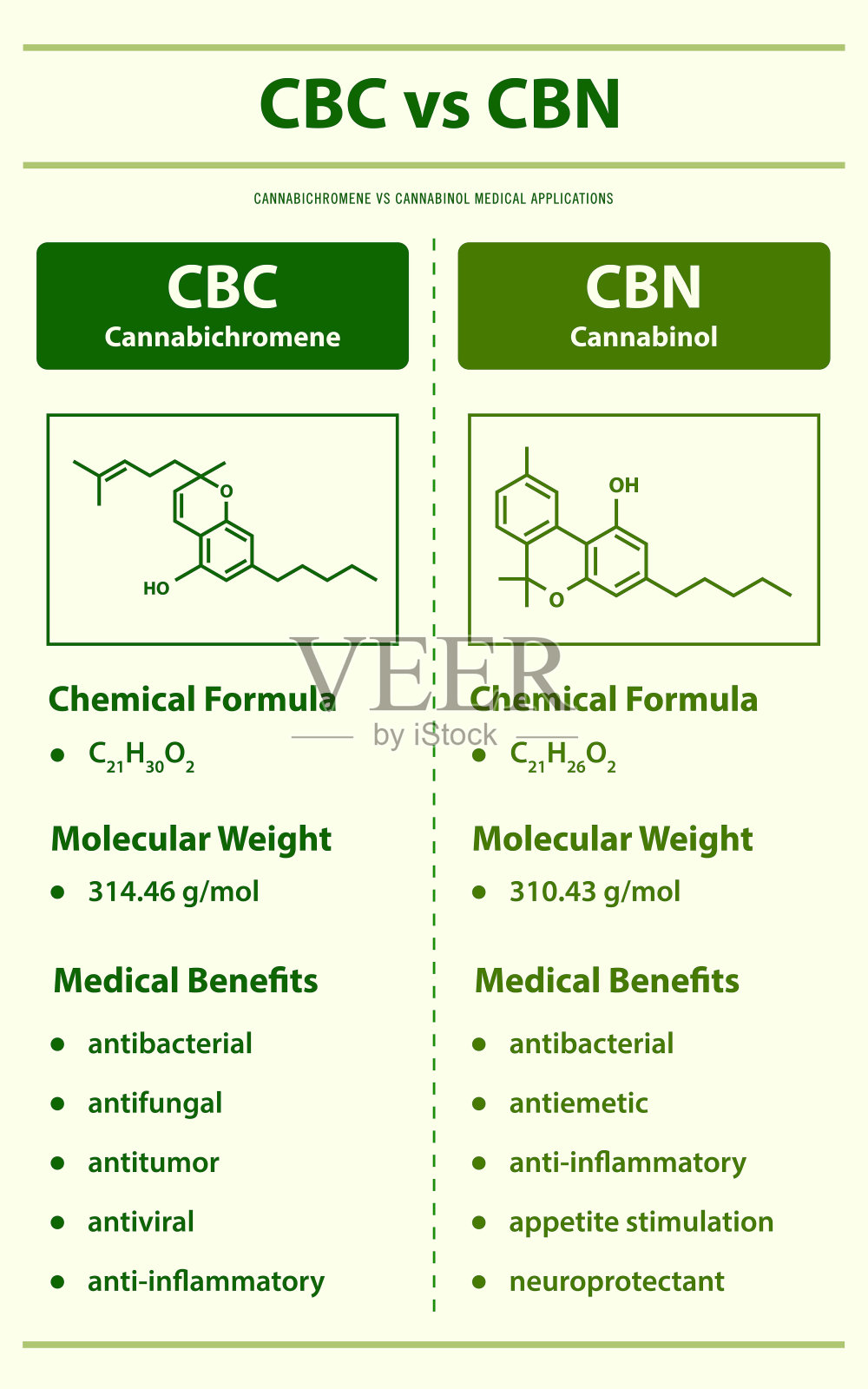 CBC vs CBN，大麻酚vs大麻酚垂直信息图插图插画图片素材