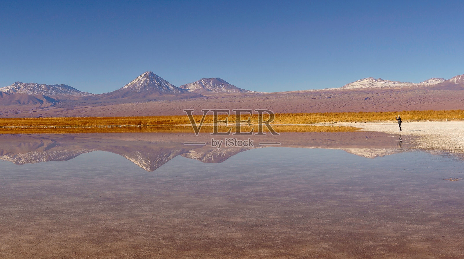 智利安托法加斯塔阿塔卡马沙漠的拉古纳Cejar照片摄影图片