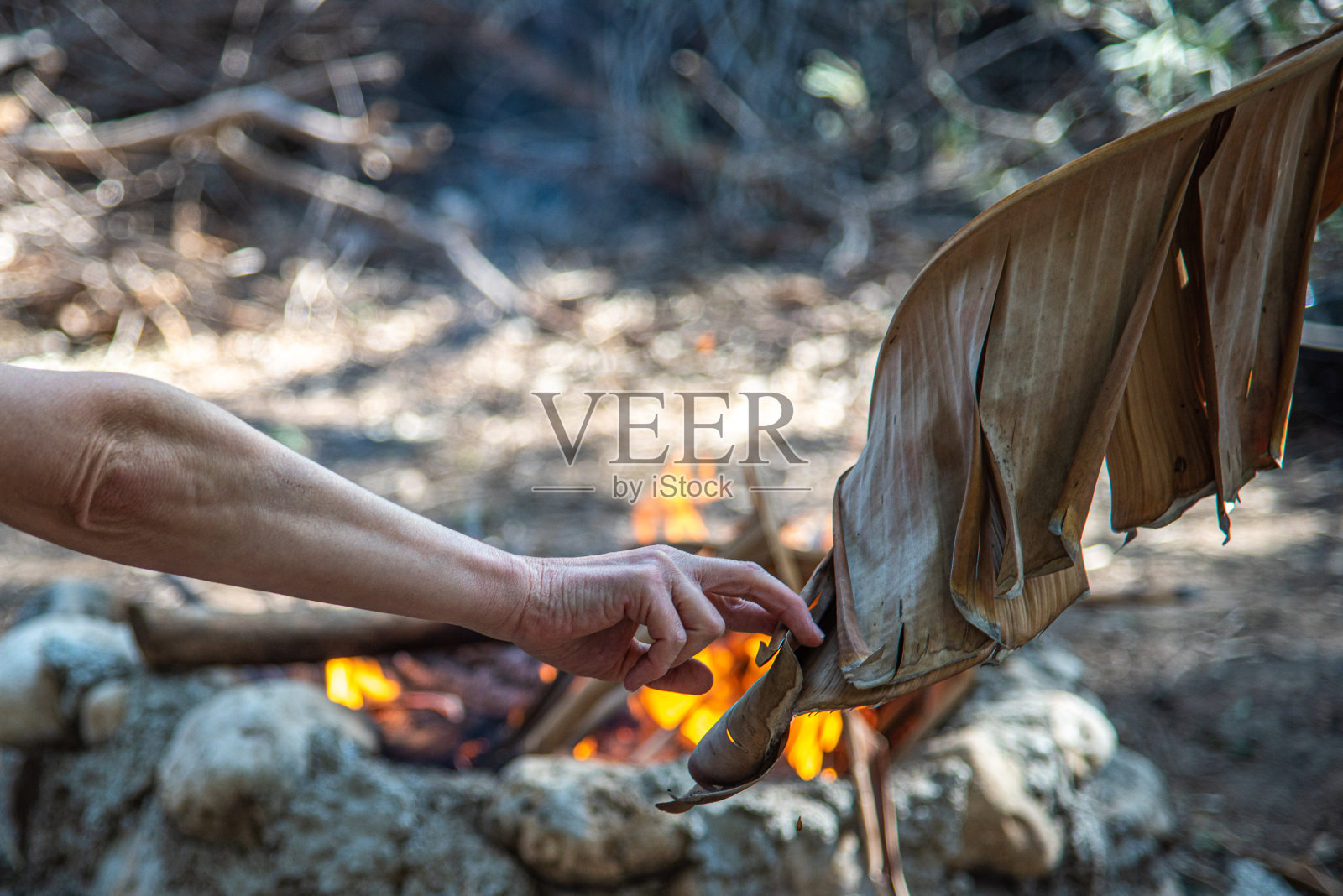 烹饪烤土豆：在热煤炭上烤制，野餐篝火中用锡箔纸包裹美味蔬菜照片摄影图片