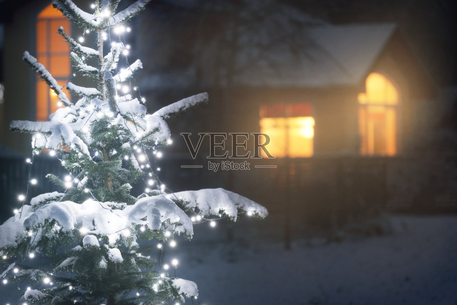 白雪覆盖的云杉被后院的白光花环照亮，特写。背景是乡村的房子。冬天农村景象。圣诞庆祝、装饰、景观设计照片摄影图片