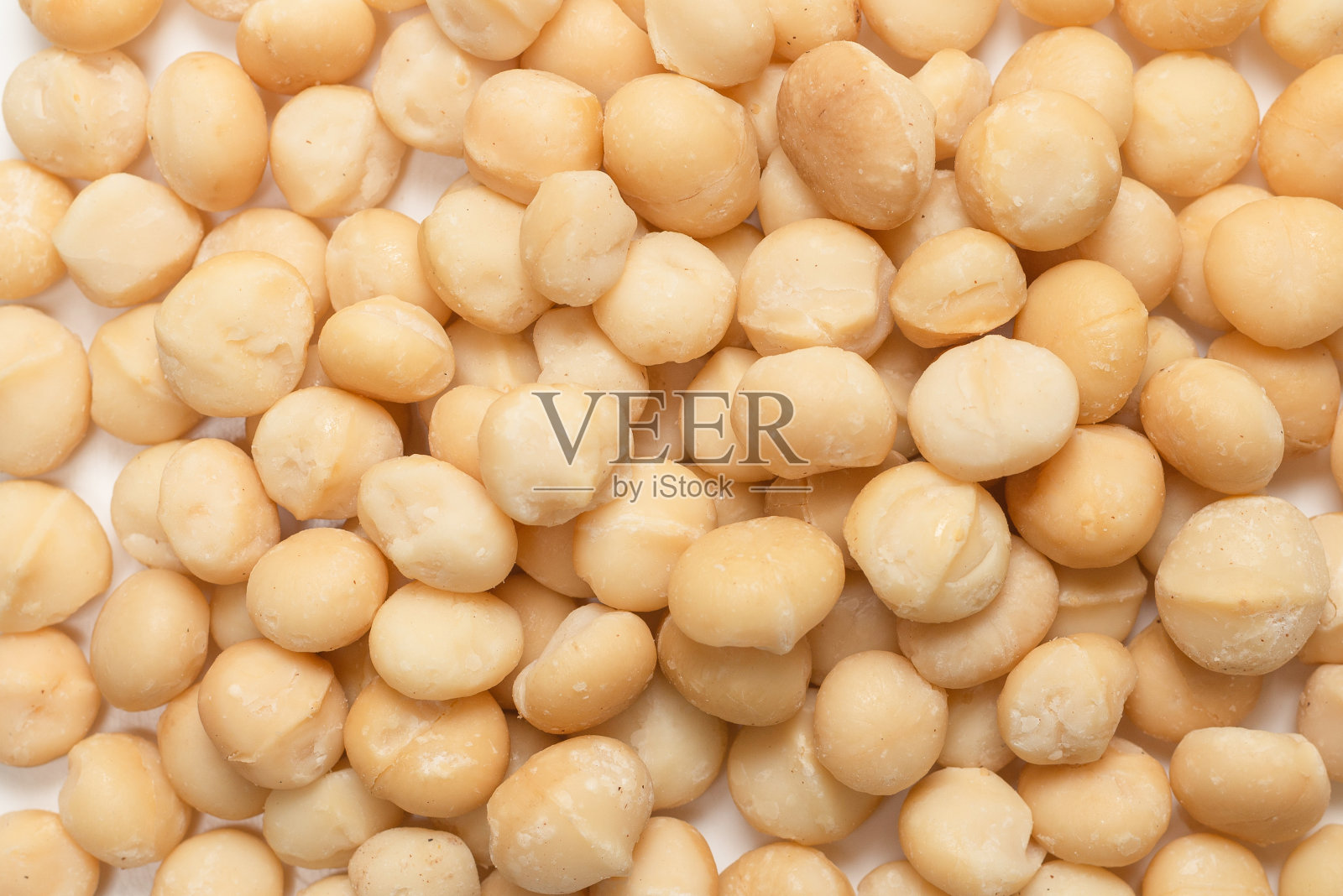 在白色背景上分离的澳洲坚果。照片摄影图片