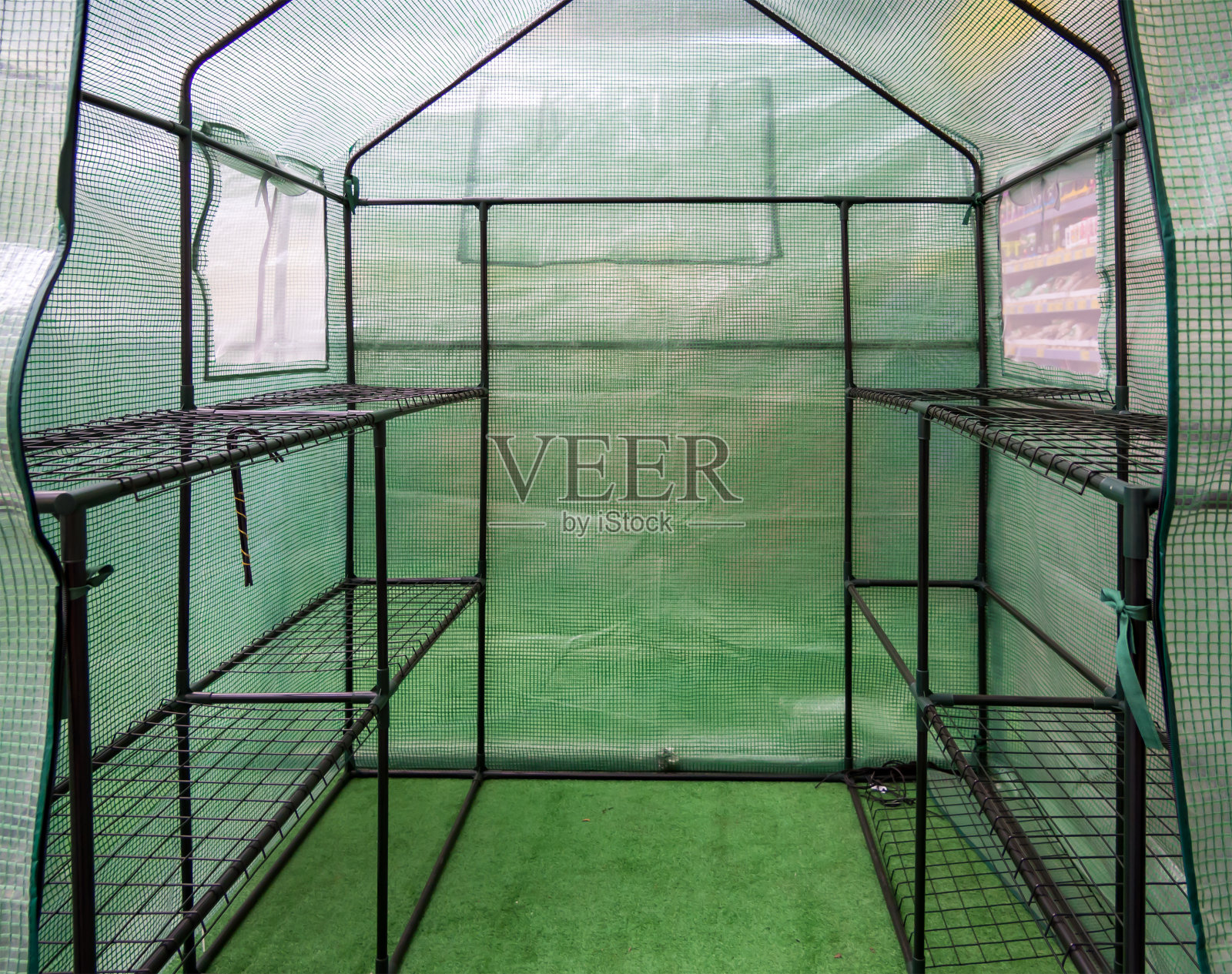 小工厂温室植物内视图照片摄影图片