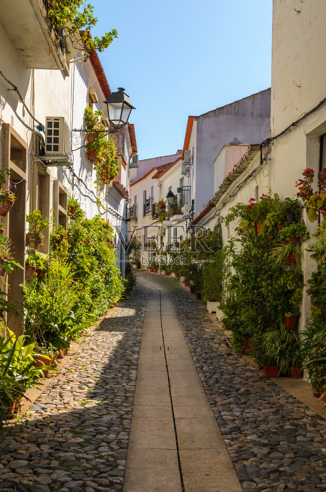 Moura所有这些照片摄影图片