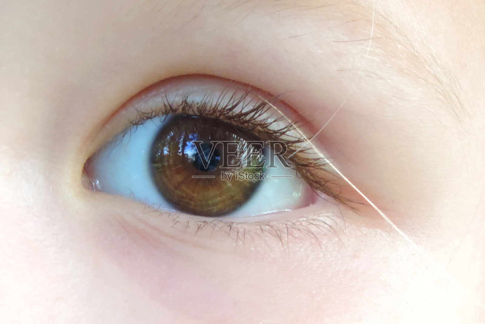 近距离观察孩子照片摄影图片