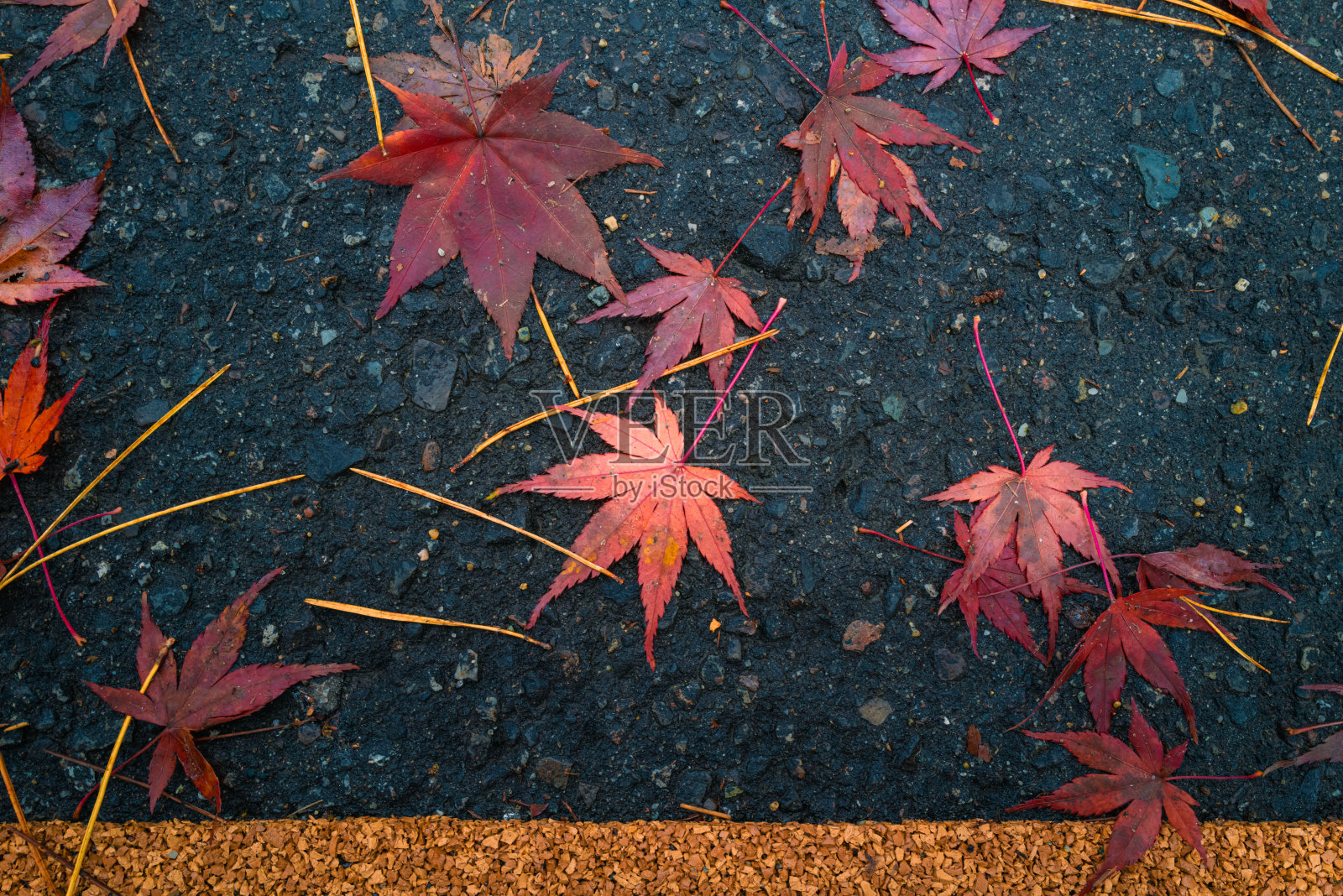 福岛2020年秋季的色彩照片摄影图片