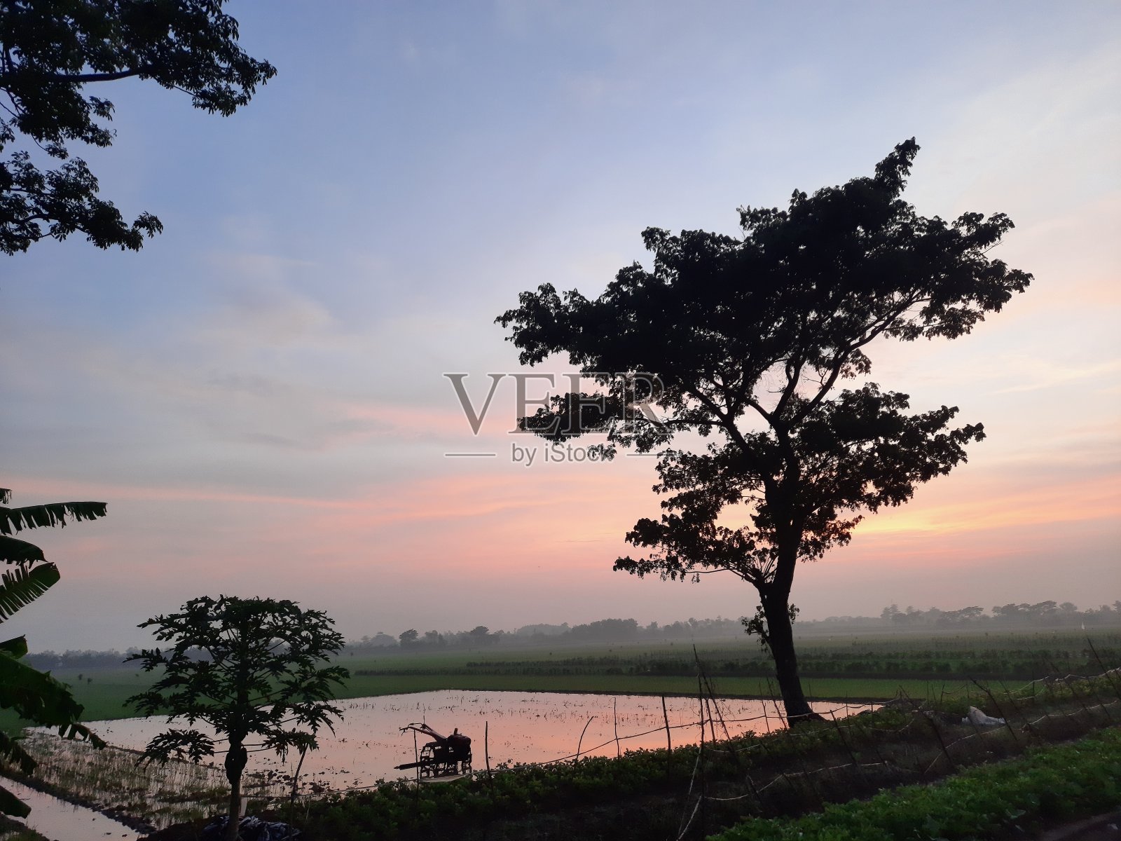 早上好照片摄影图片