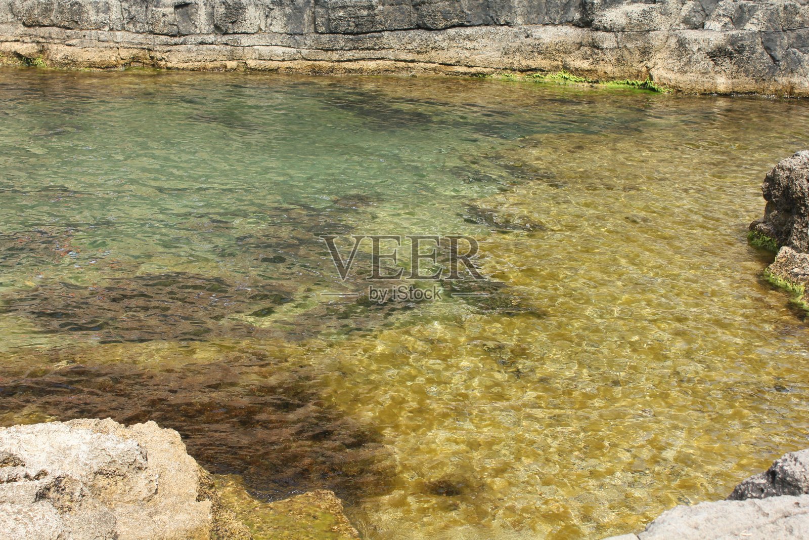 闪闪发光的苔藓浅海水域在Kerpe照片摄影图片