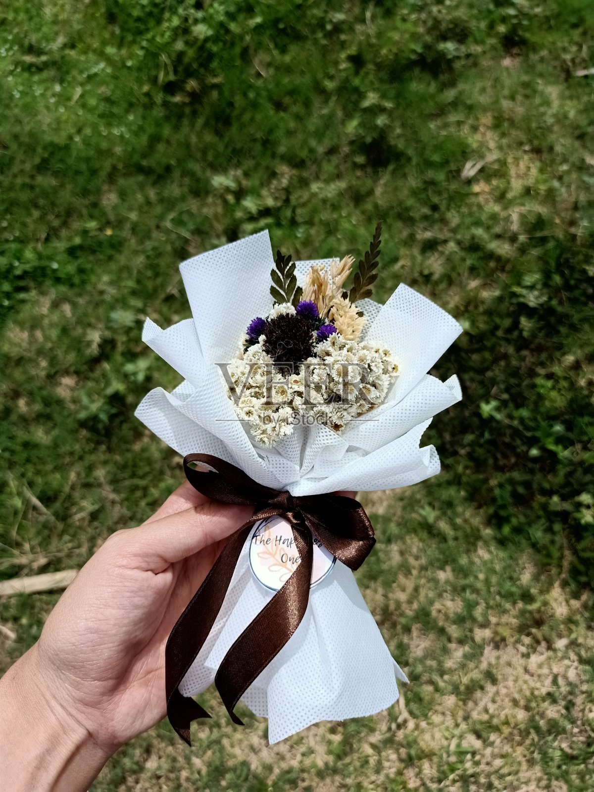 迷你花束edelweis照片摄影图片