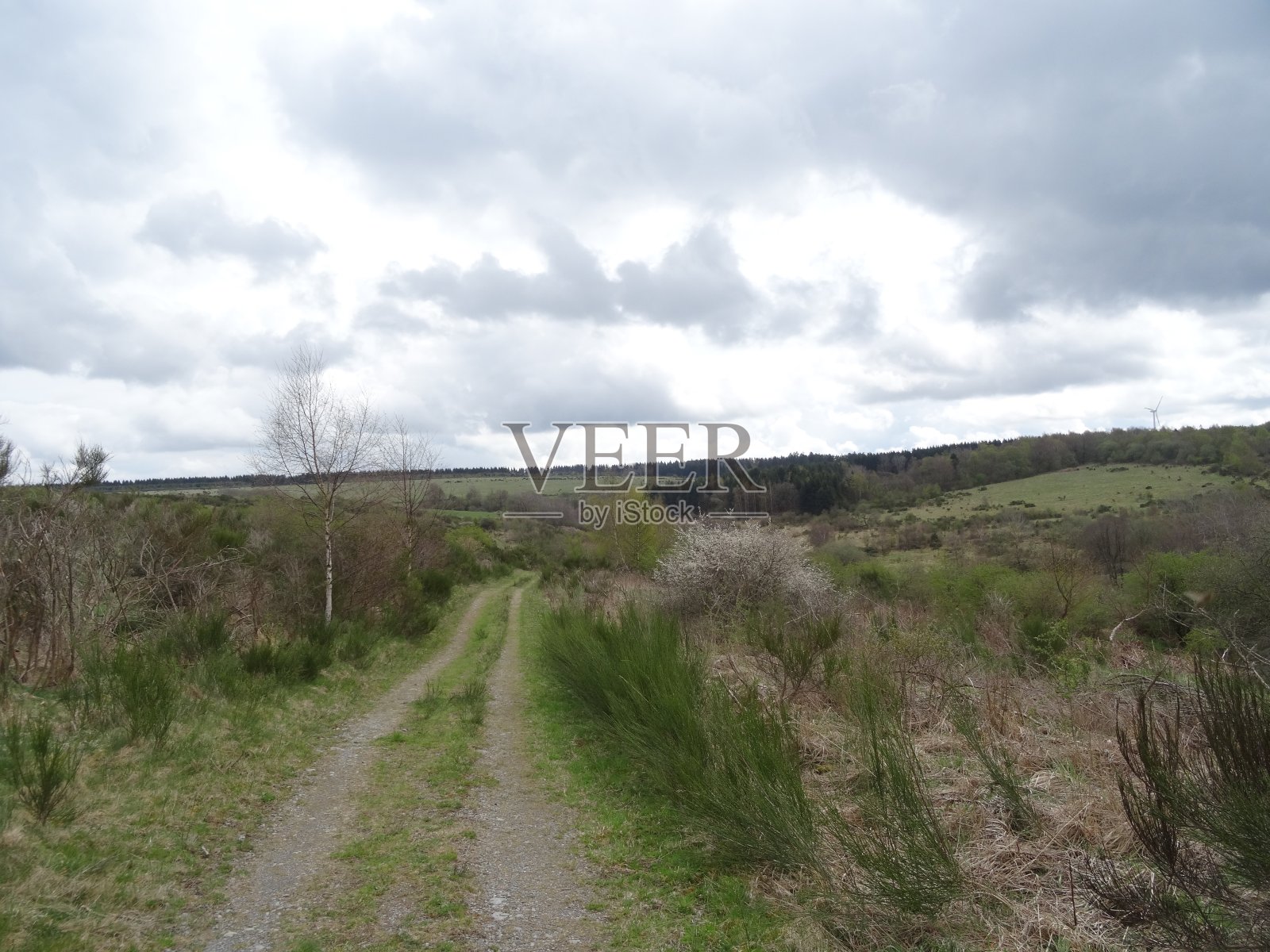 德国艾菲尔，绿草蓝天照片摄影图片