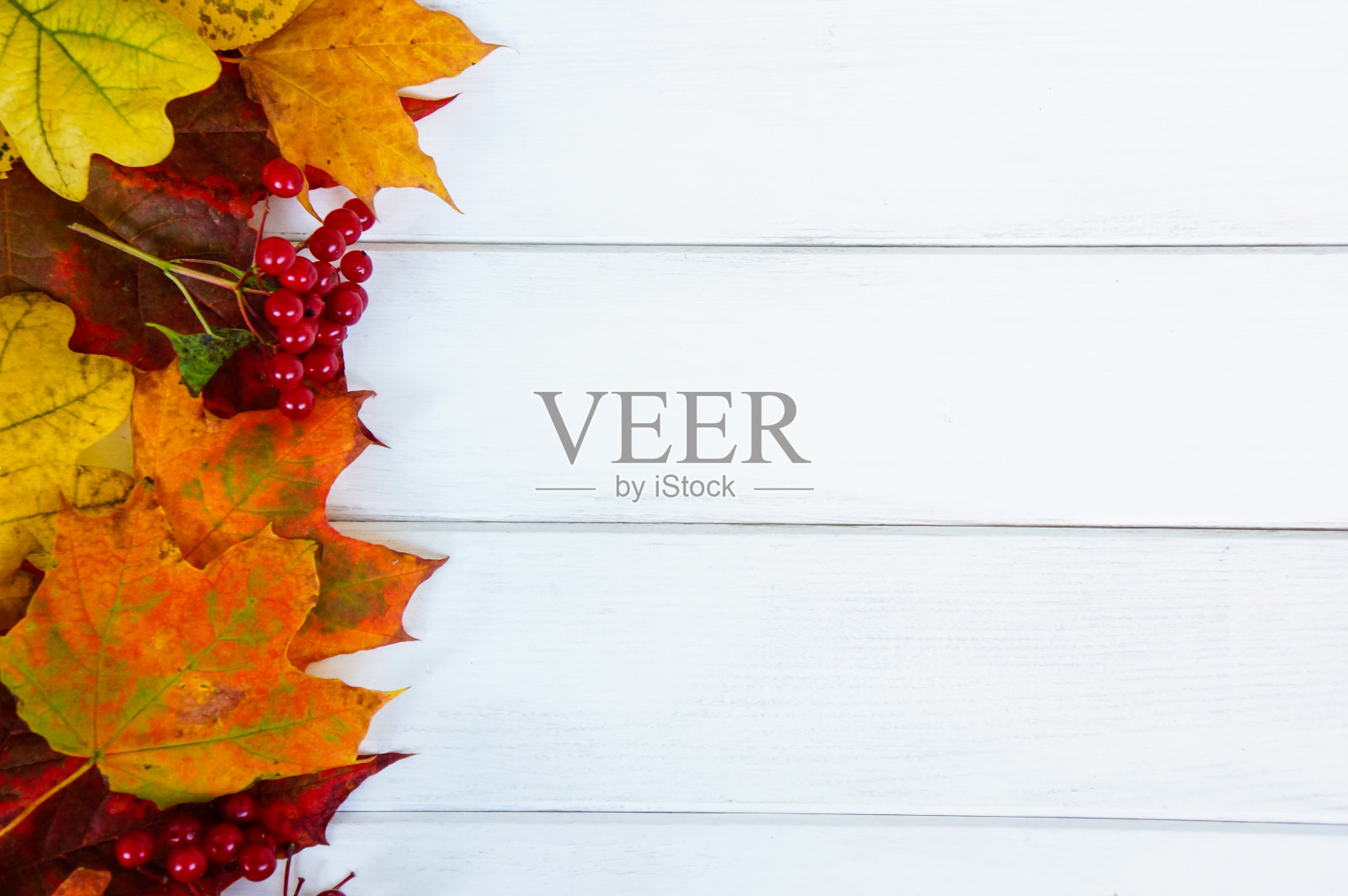 秋天的装饰，从树叶上的白色木制背景照片摄影图片