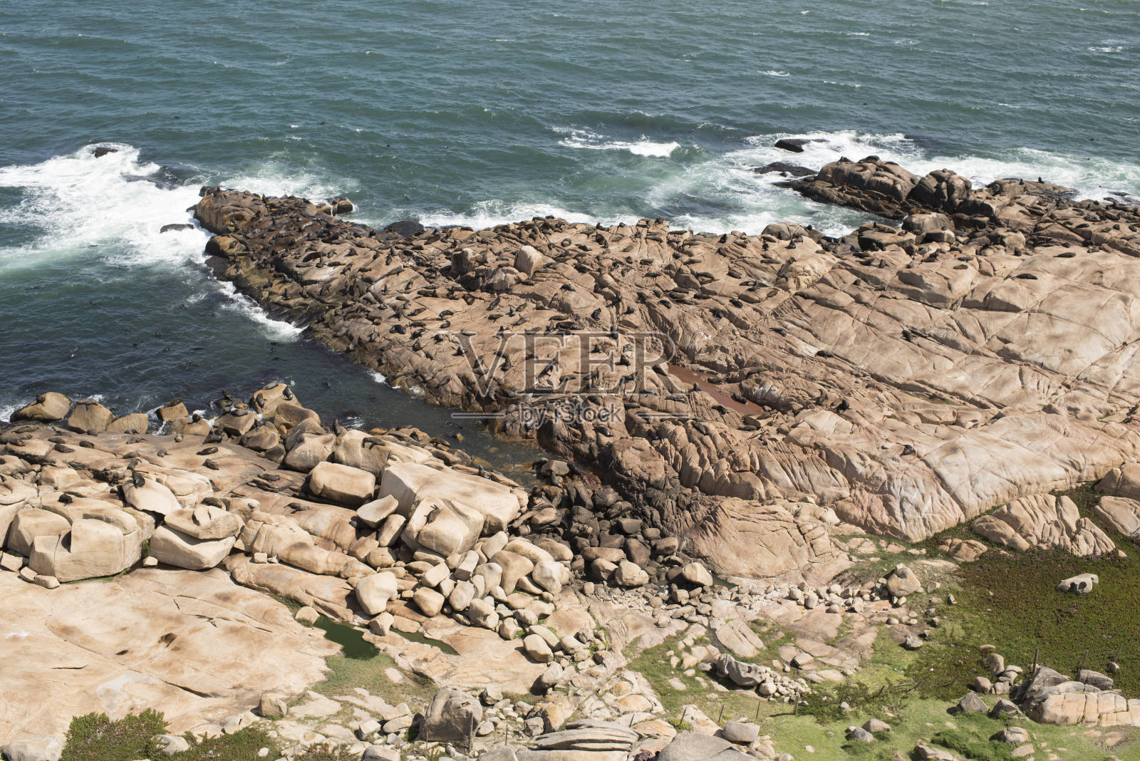 卡波波尼奥海岸鸟瞰图。在岩石海岸上的南美海狮、南海狮和南美海狮照片摄影图片