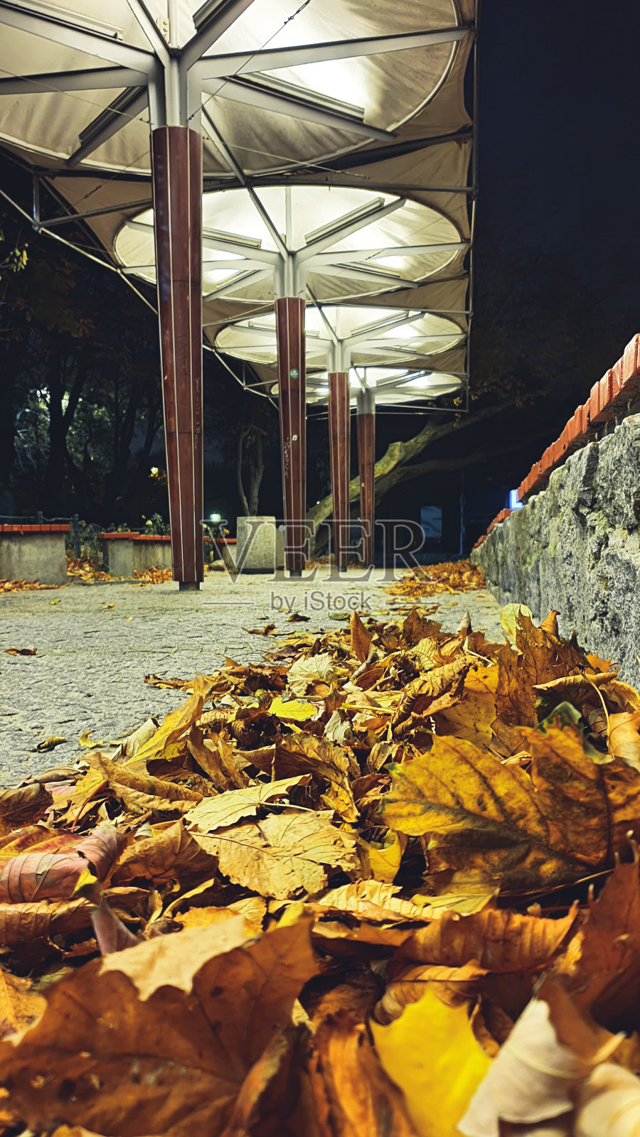 秋天傍晚的海滨长廊照片摄影图片