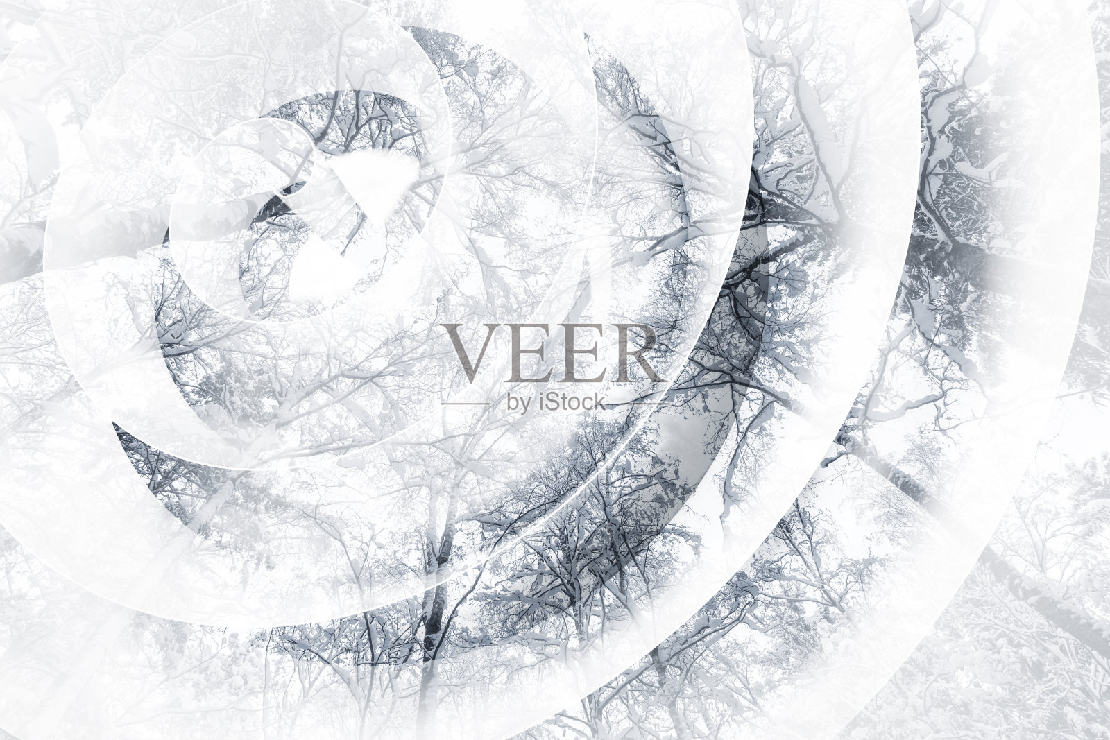 冬季森林的白色螺旋，混合介质照片摄影图片