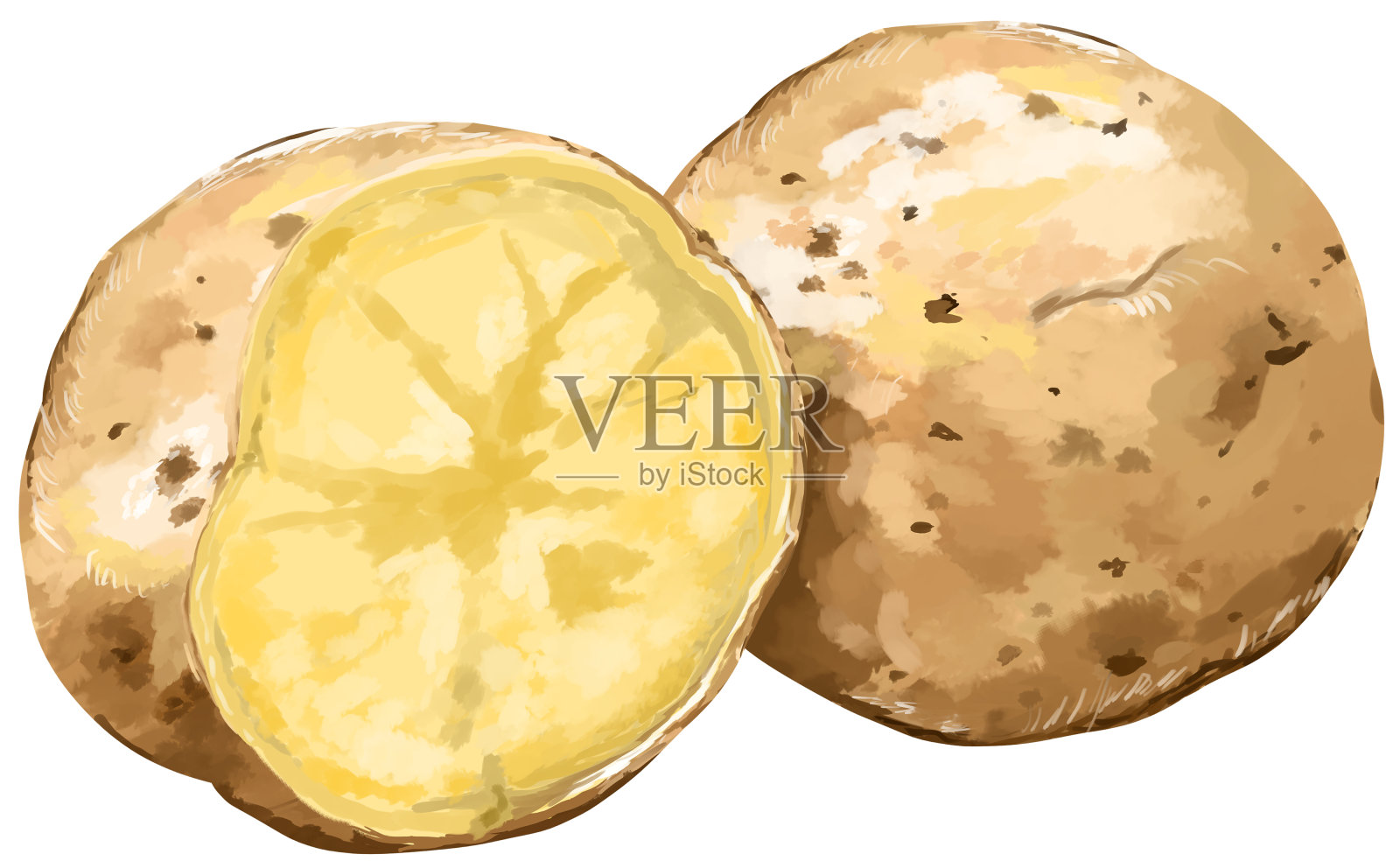 现实的土豆插图插画图片素材