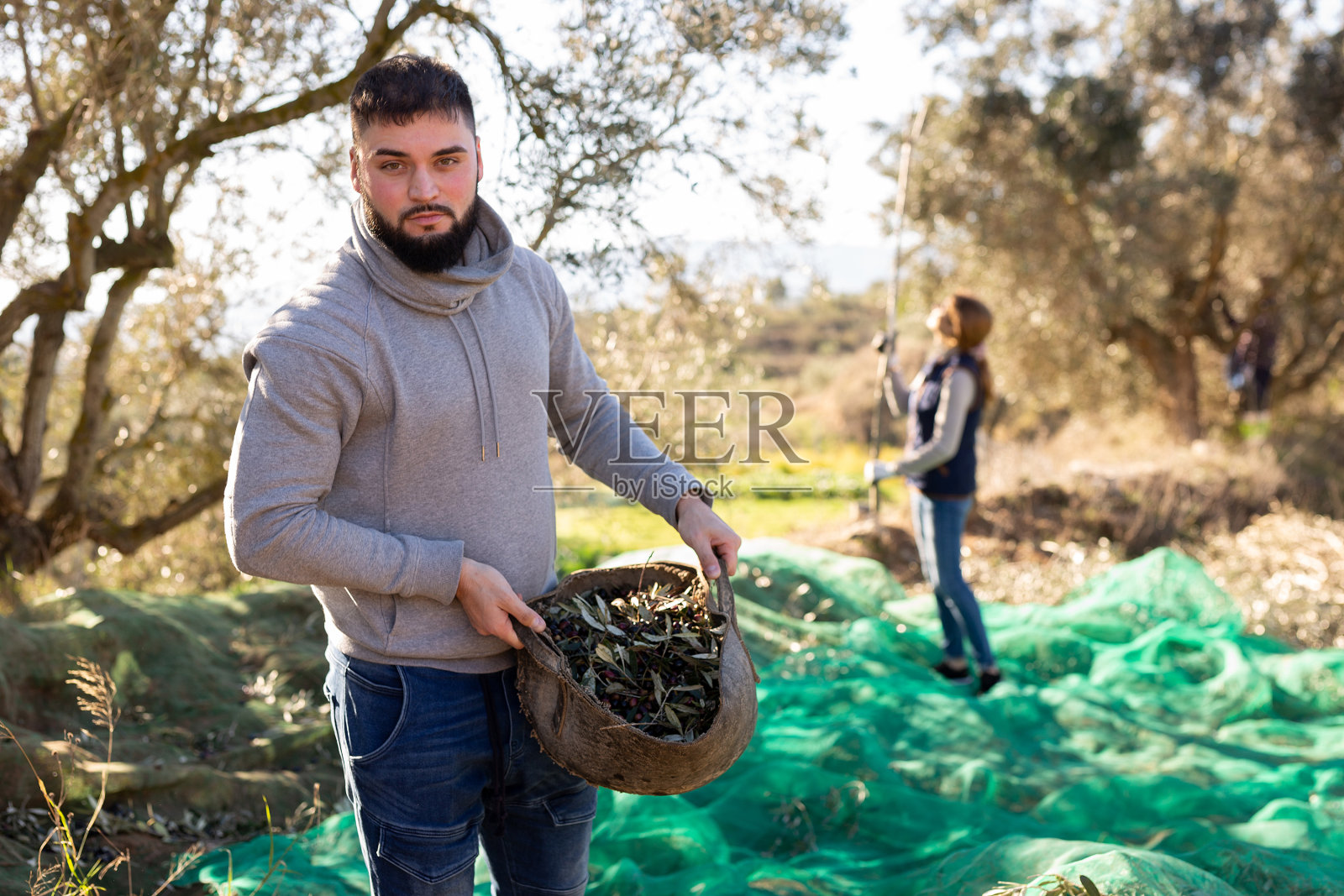 提着橄榄篮子的人照片摄影图片