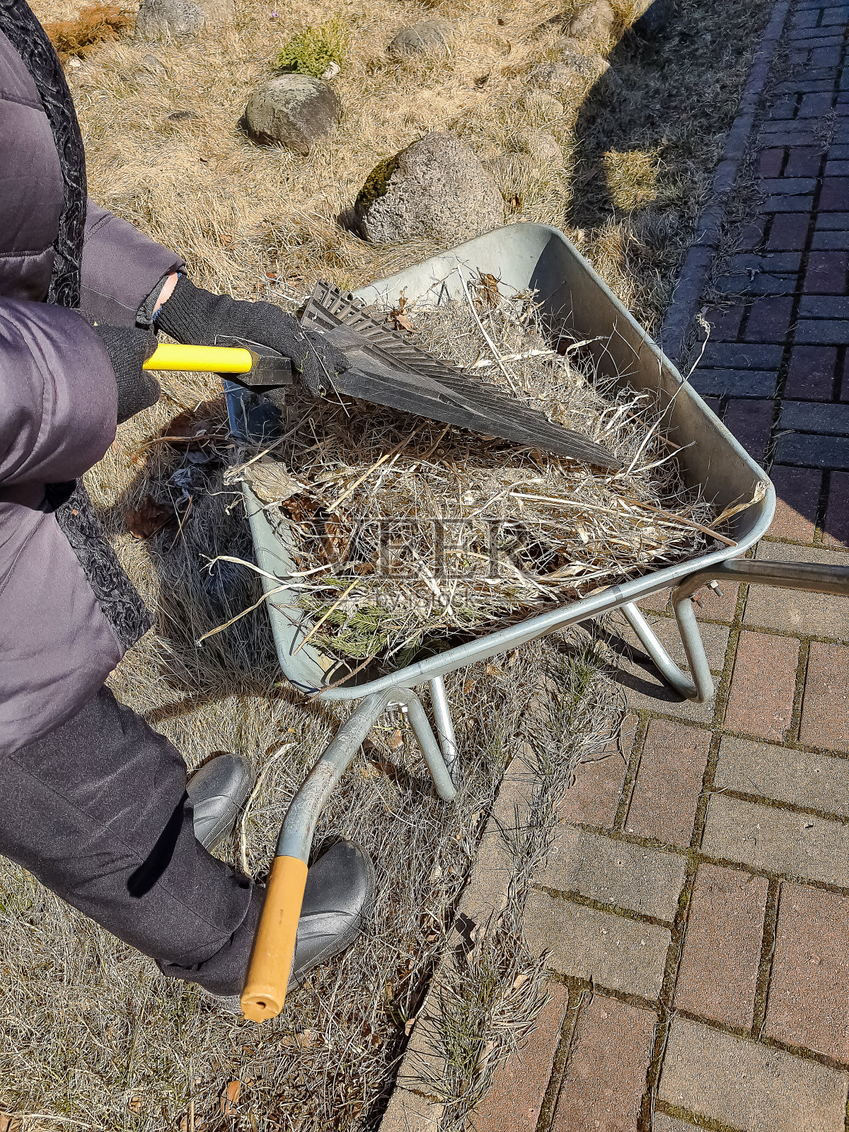 有人在花园里耙落叶。在春天的时候，女孩拿着耙子清理草坪上的枯叶。在花园工作。打扫花园。春天成熟的叶子。园林工具照片摄影图片