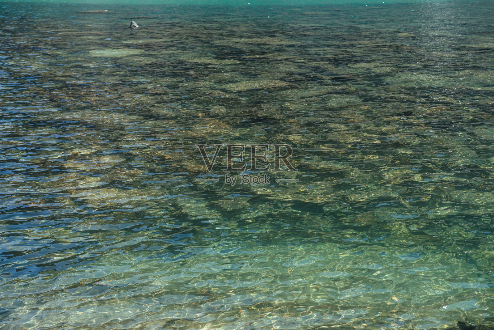 沉思涟漪的山湖。美丽放松的背景石底部在绿松石透明的水冰湖在阳光下。阳光明媚的背景与许多石头在绿色清澈的水。照片摄影图片