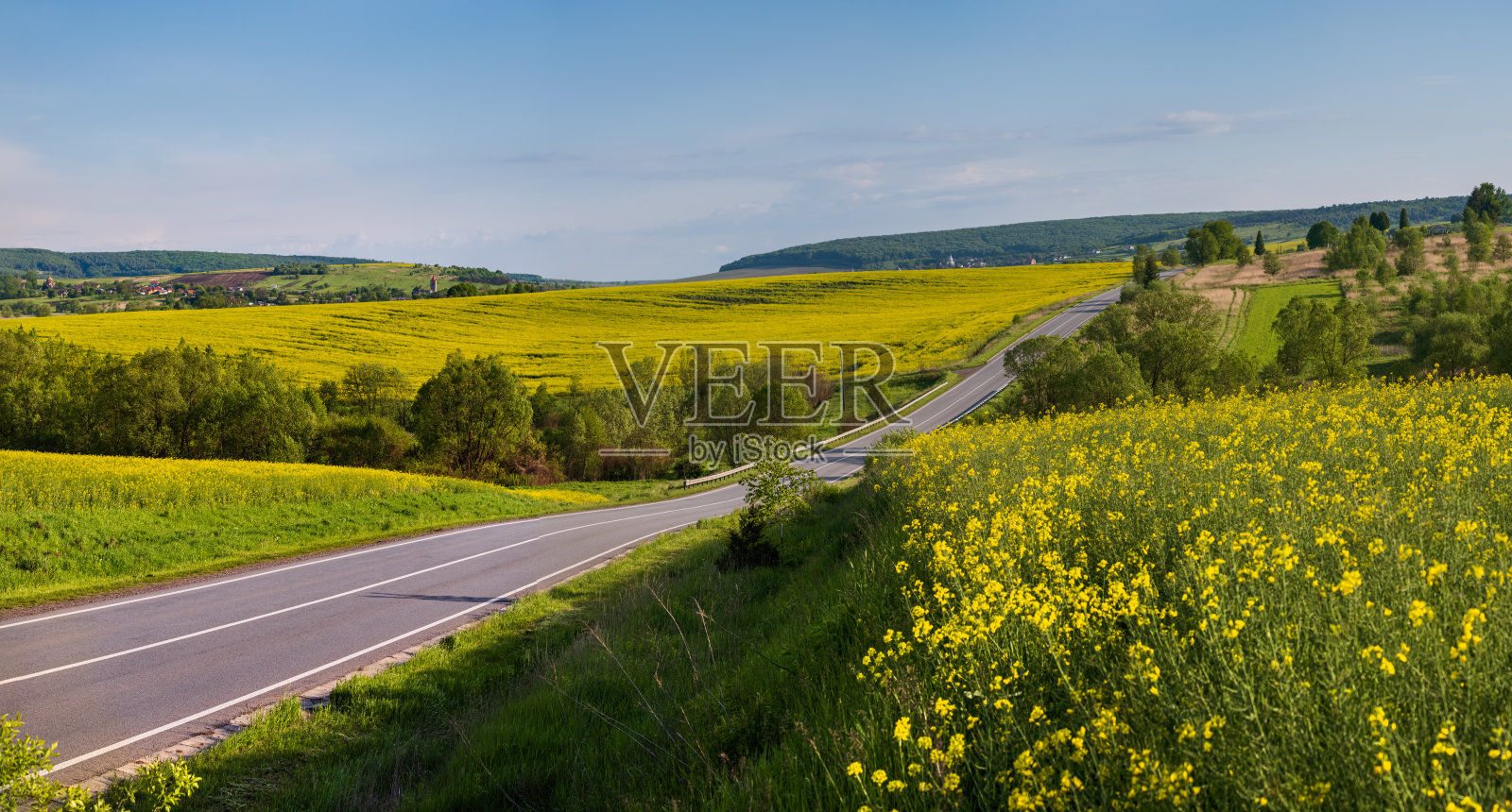 春路油菜花黄澄澄的田野尽收眼底，蓝天白云映在阳光下。自然季节性好，天气、气候好，生态、农作、乡村之美理念。照片摄影图片