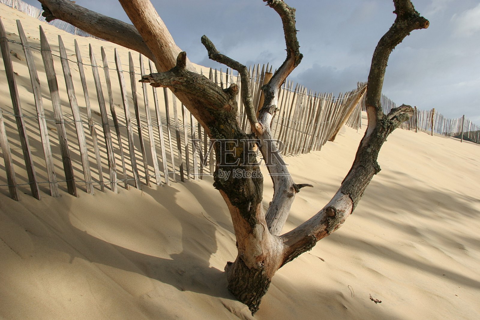 法国阿卡松的皮拉沙丘照片摄影图片