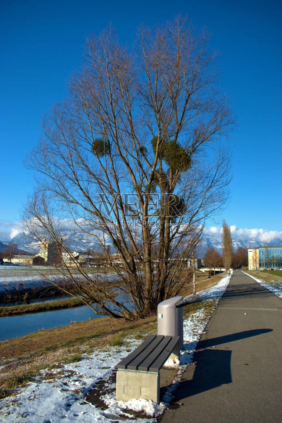 列支敦士登瓦杜兹一条小河旁的空长凳和一棵树照片摄影图片