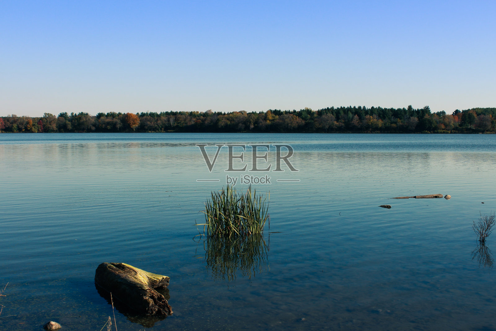 平静的水照片摄影图片