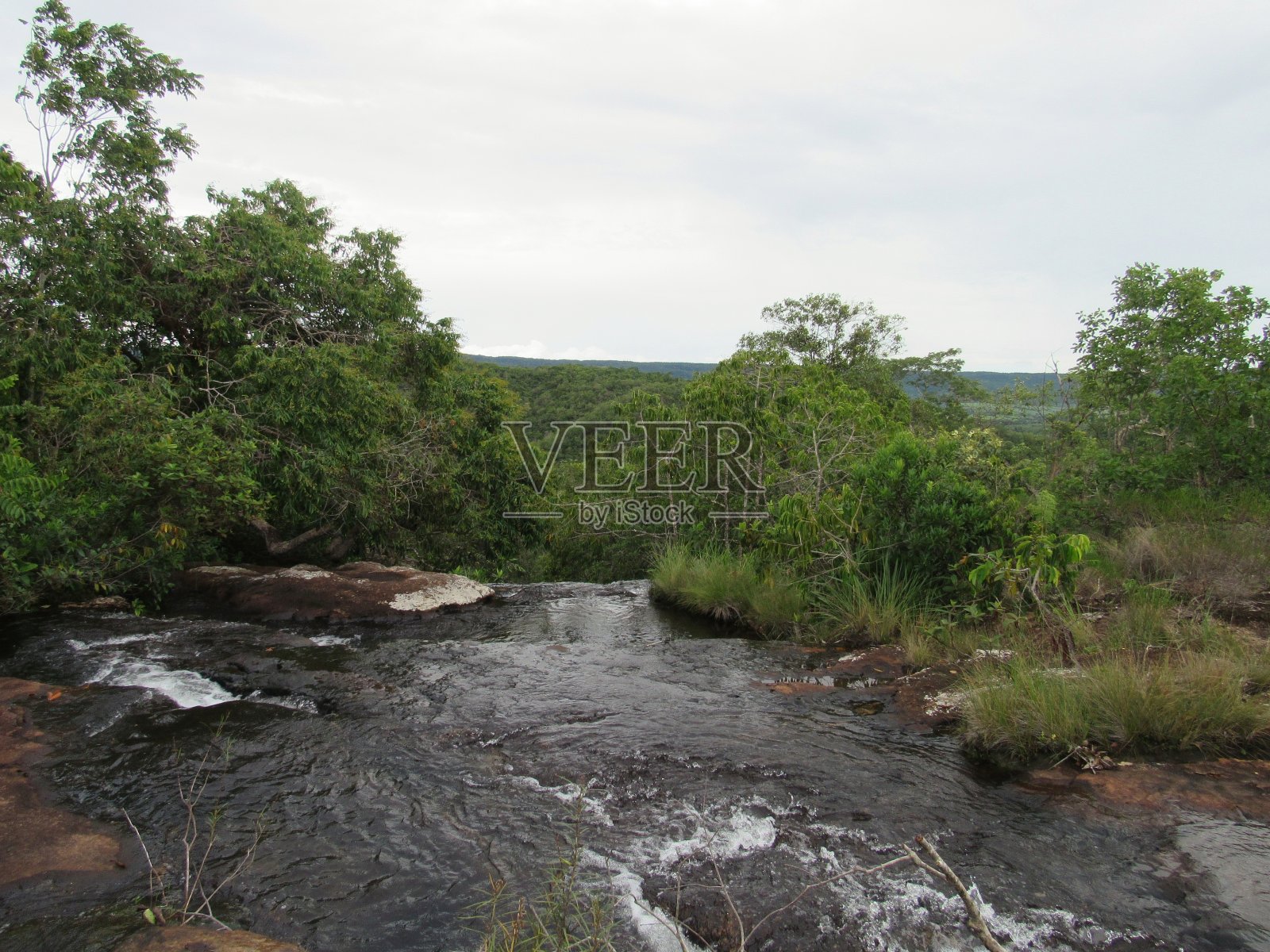 一条溪流在被称为“塞拉多”的植被间照片摄影图片